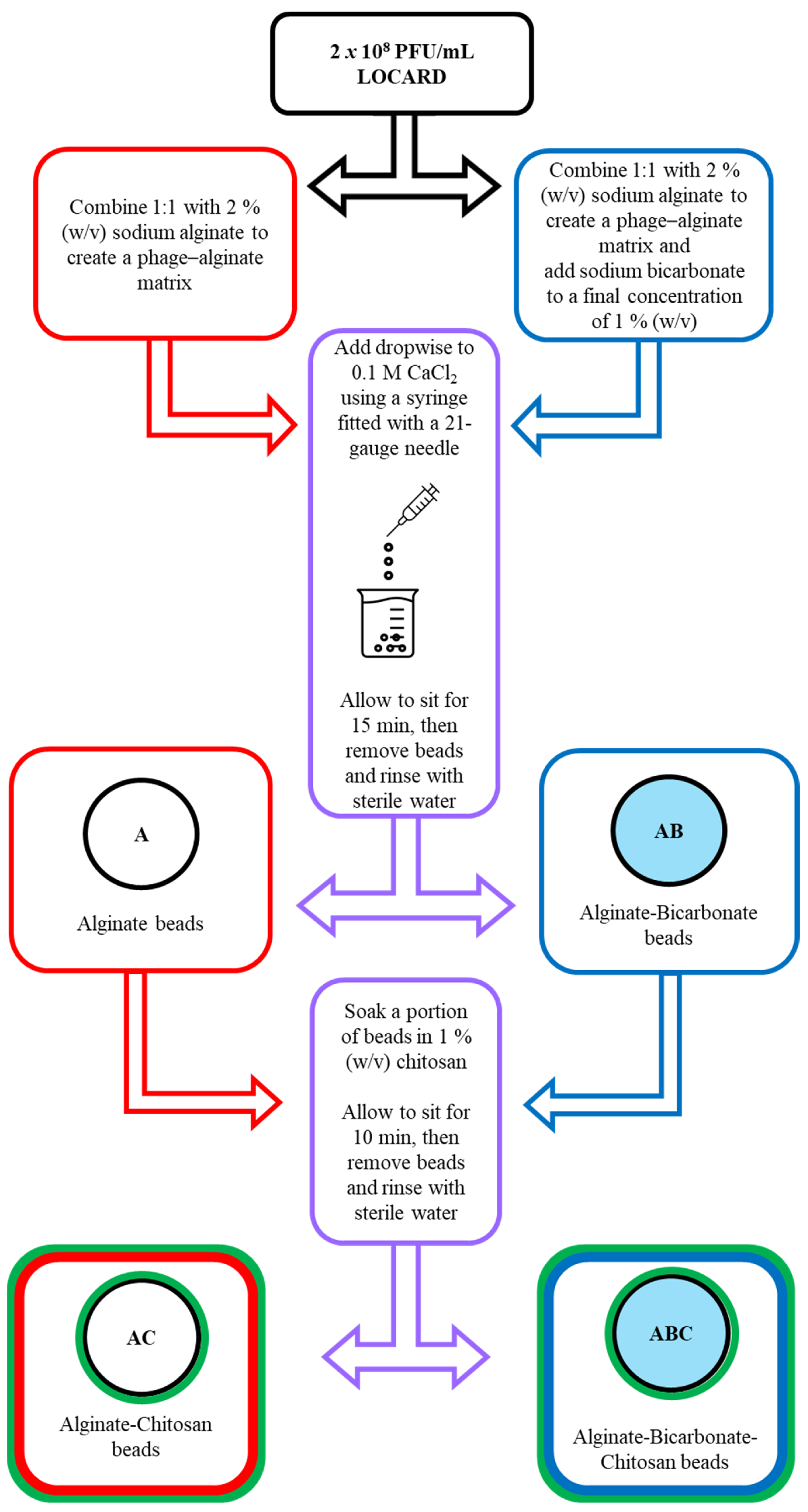 Viruses 15 02290 g001 Viruses 15 02290 g001