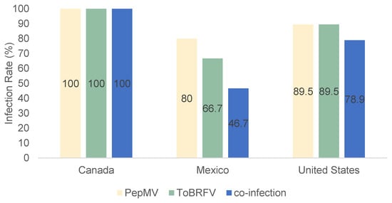 Co-Infection of Tomato Brown Rugose Fruit Virus and Pepino Mosaic Virus ...