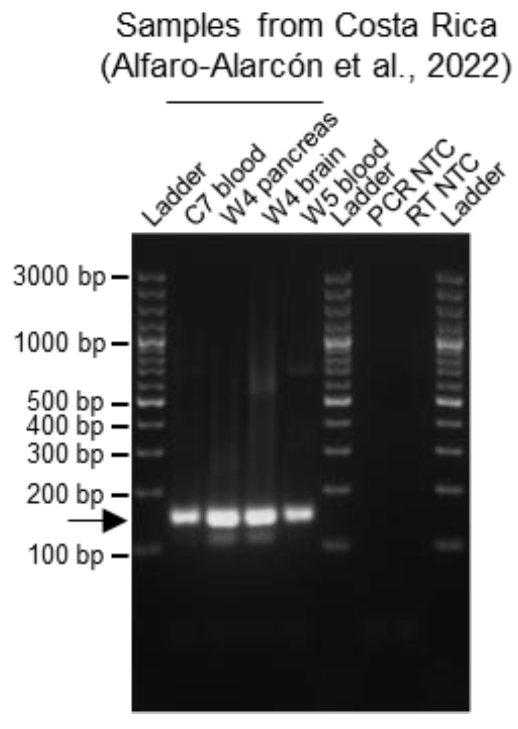 Viruses 15 02313 g004
