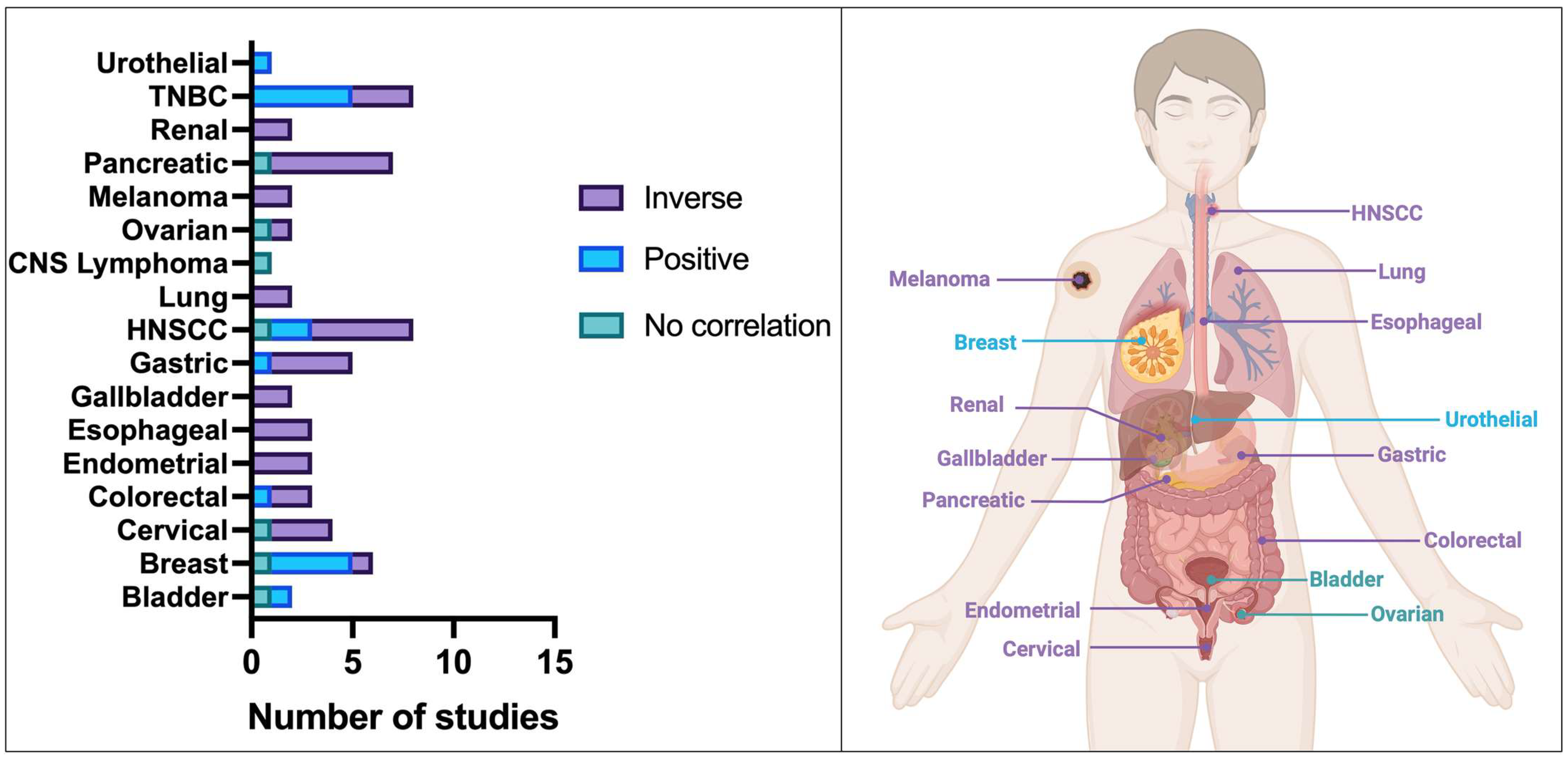 Viruses 15 02320 g003