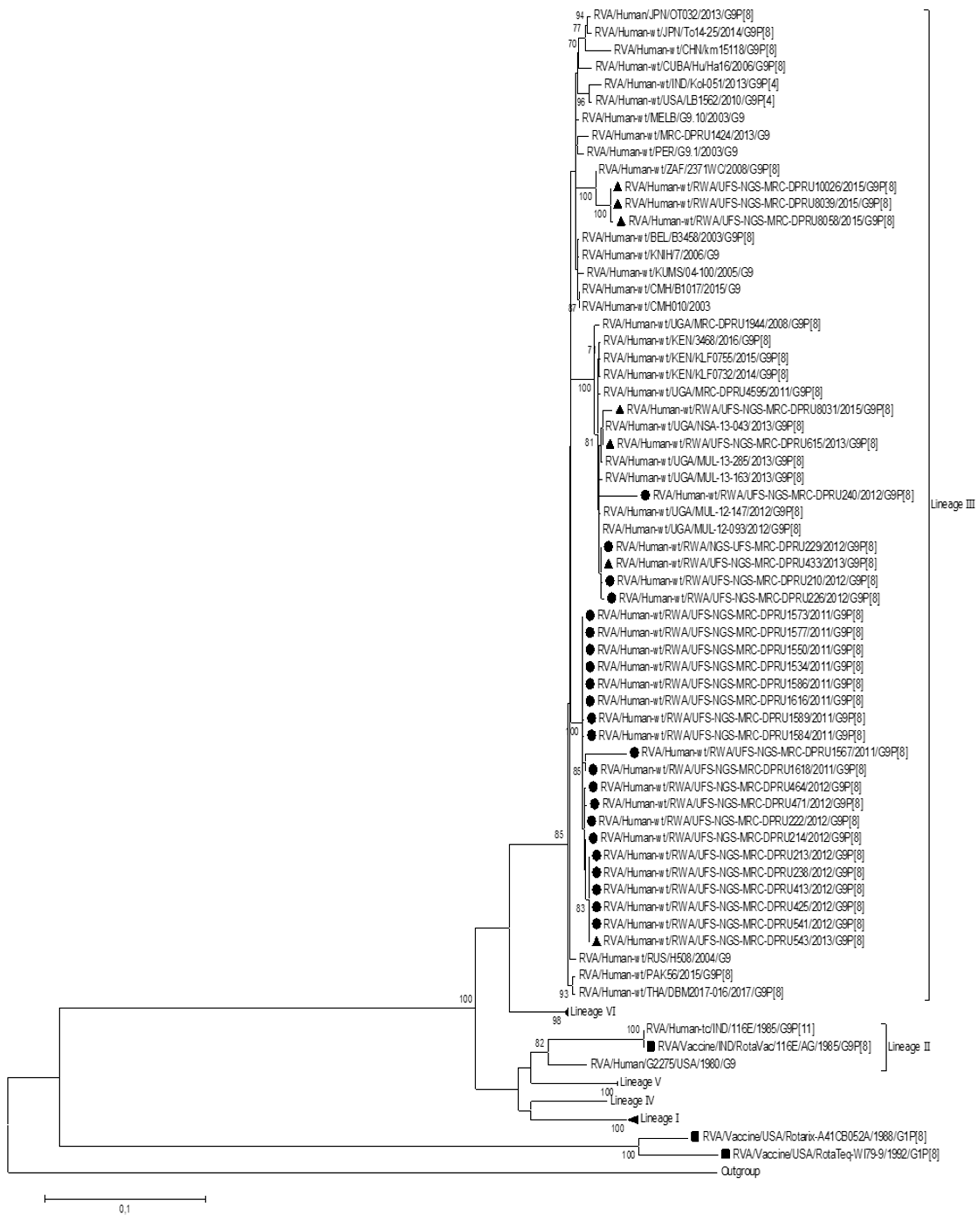 Viruses | Free Full-Text | Genomic Analysis of Rwandan G9P[8] Rotavirus ...