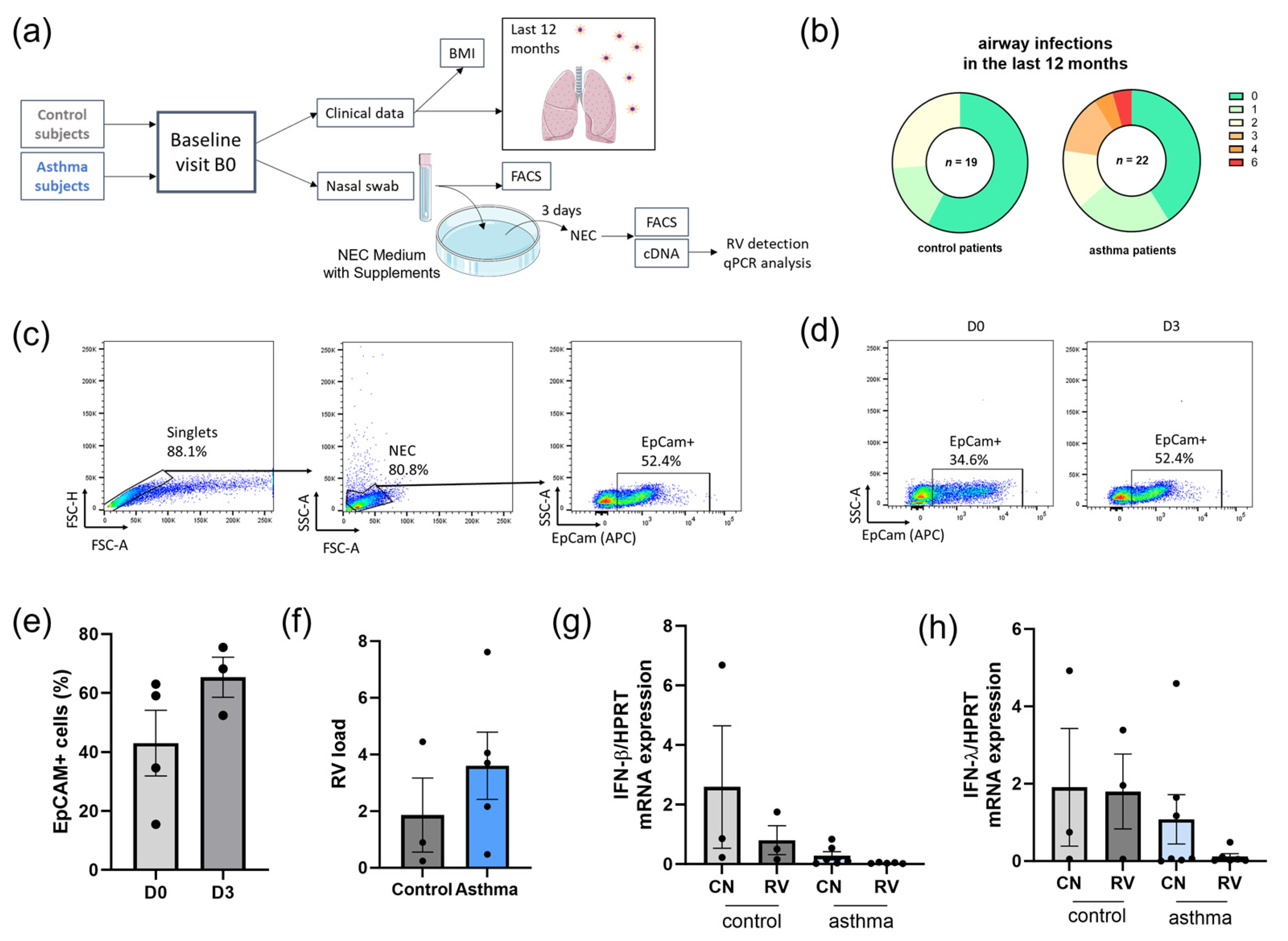 Viruses 15 02328 g001