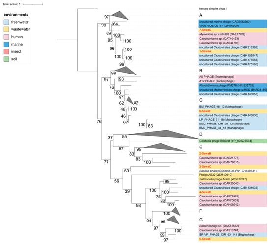 Viruses | free full-text | identification of huge phages from