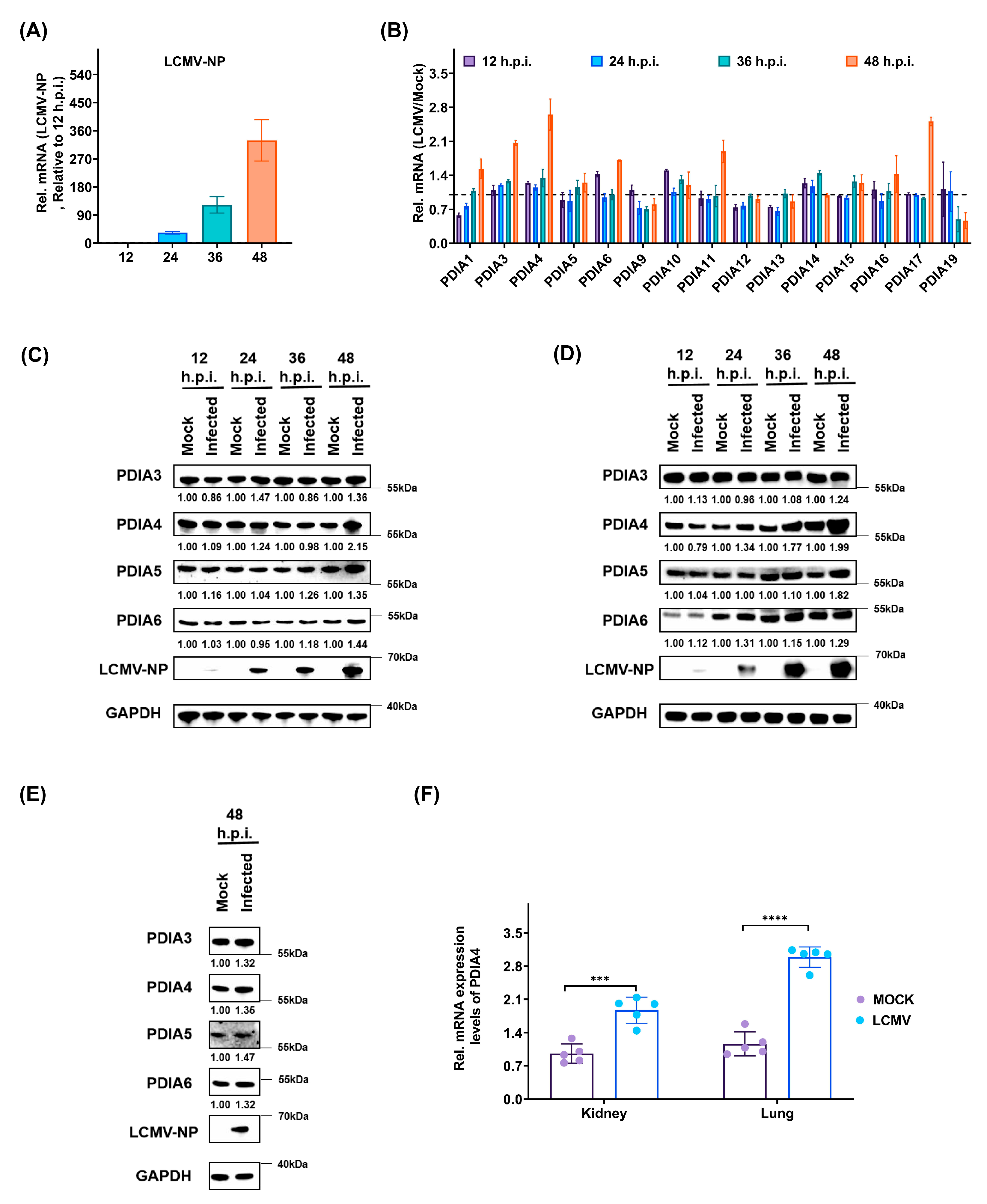 Viruses 15 02343 g002
