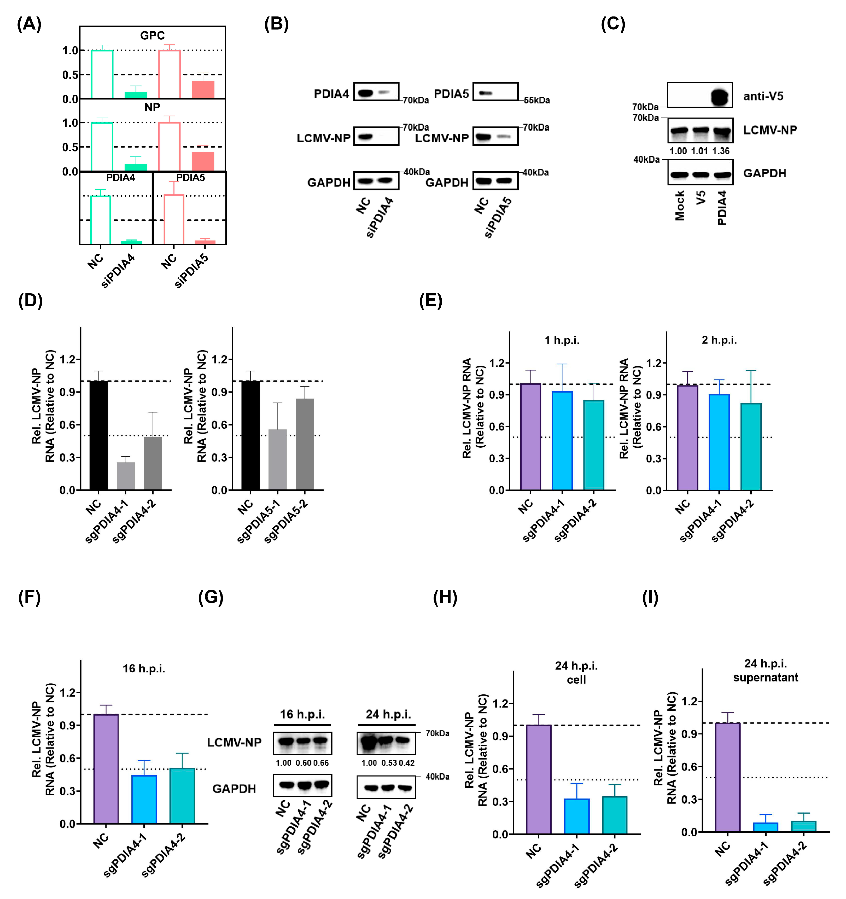 Viruses 15 02343 g003