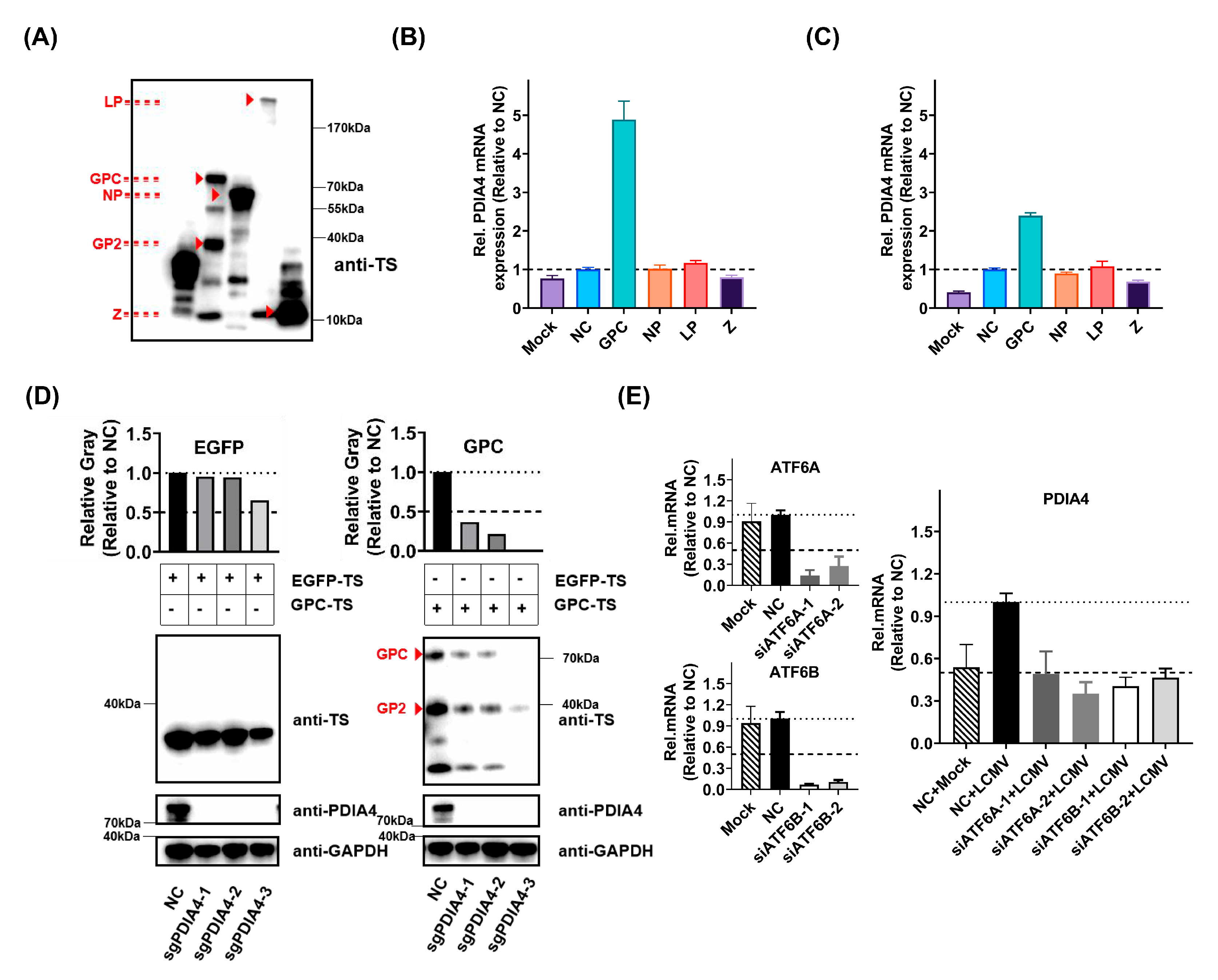 Viruses 15 02343 g004