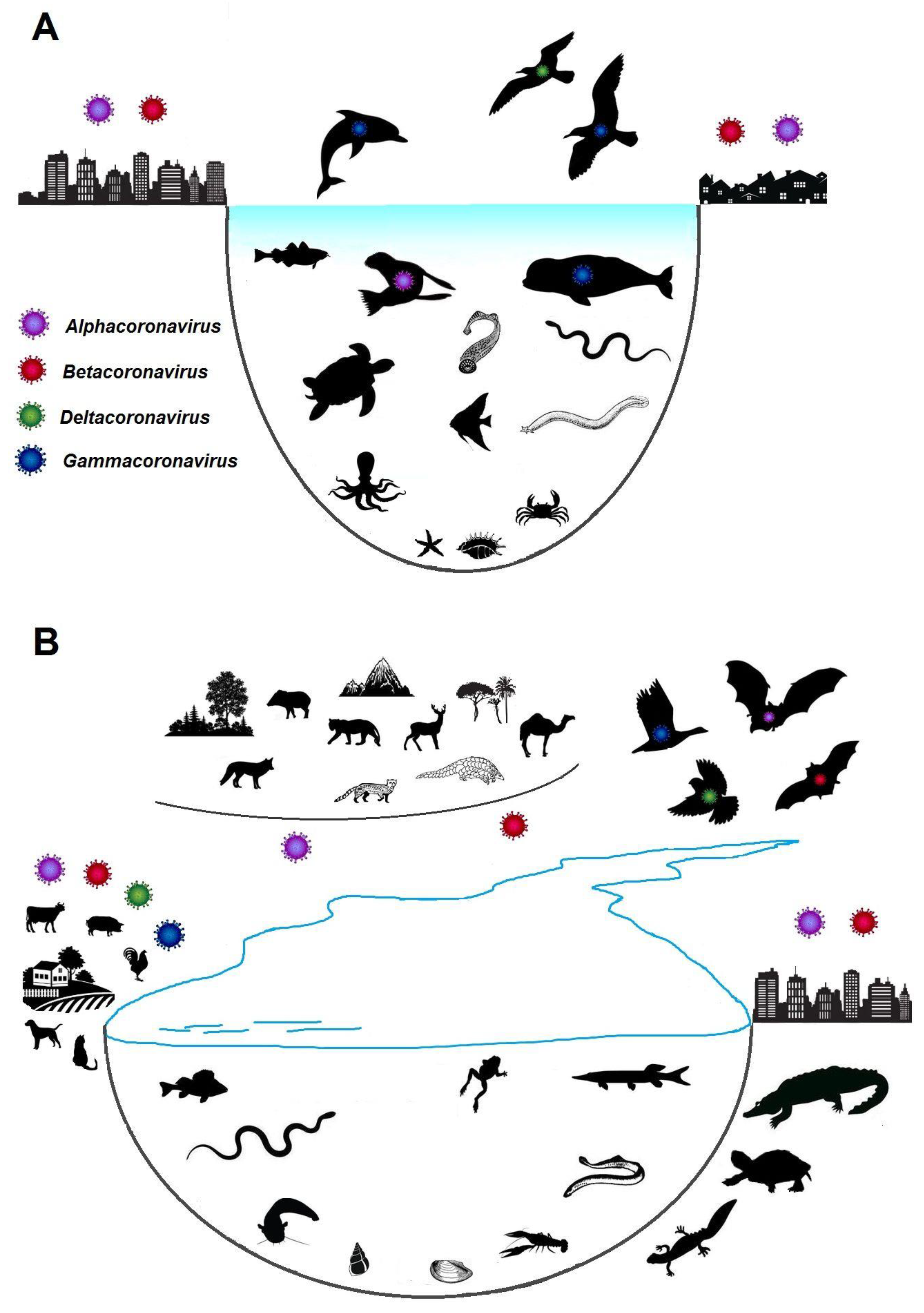 Viruses 15 02350 g004
