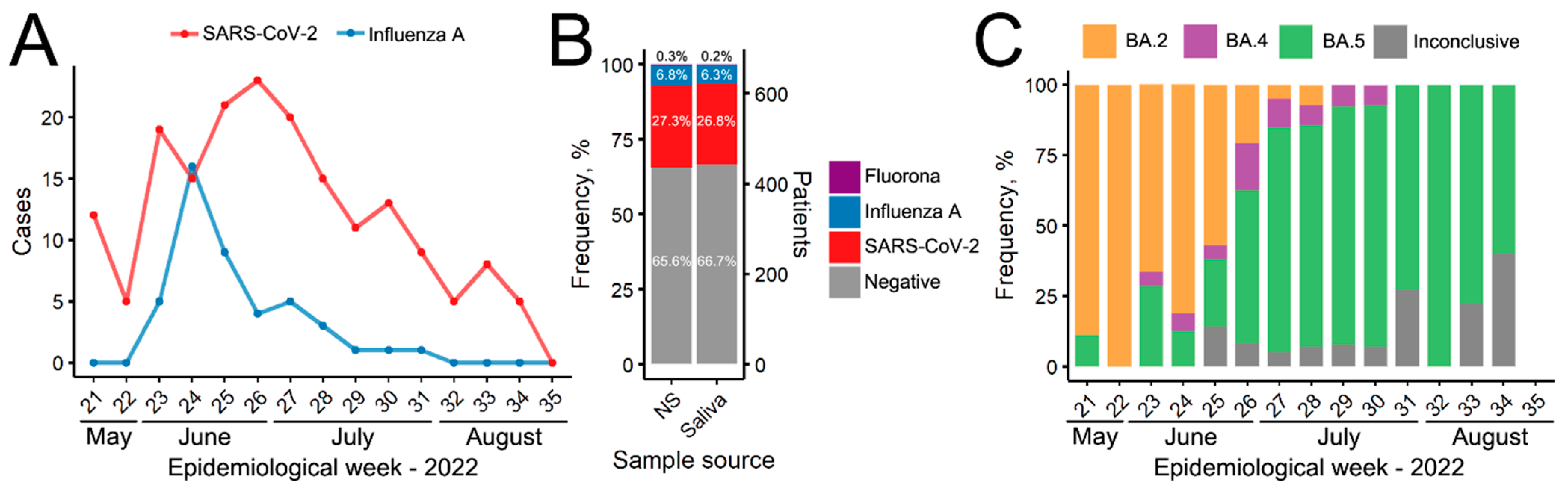 Viruses 15 02352 g001