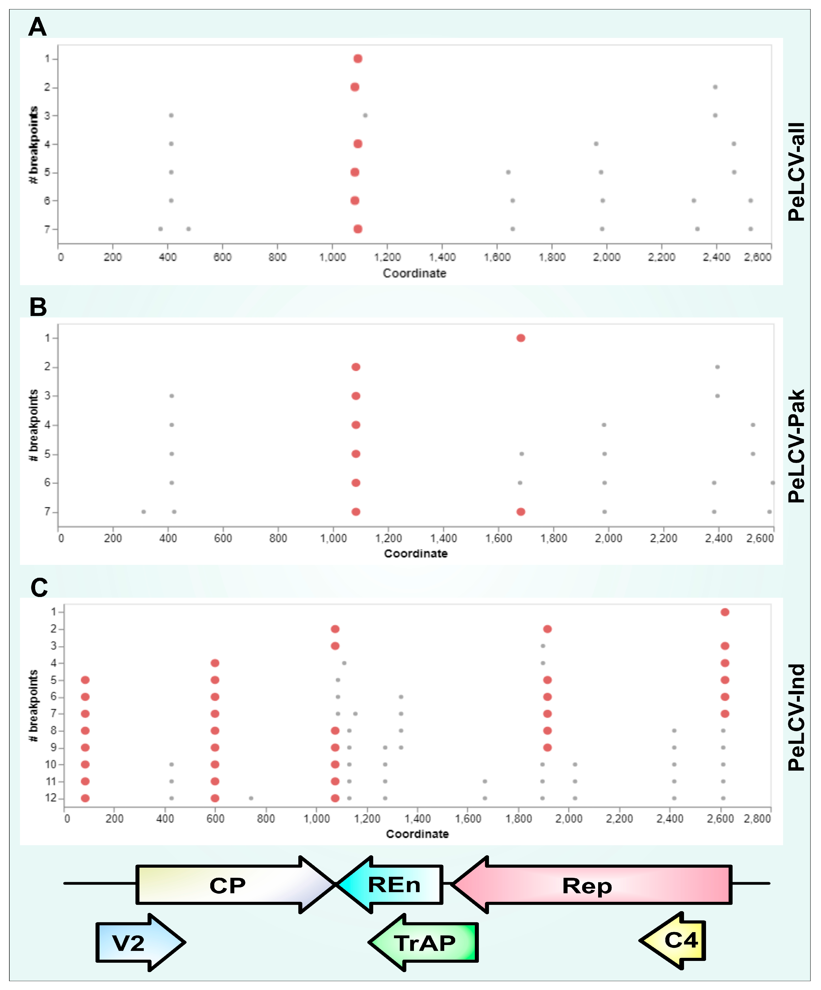 Viruses 15 02358 g005