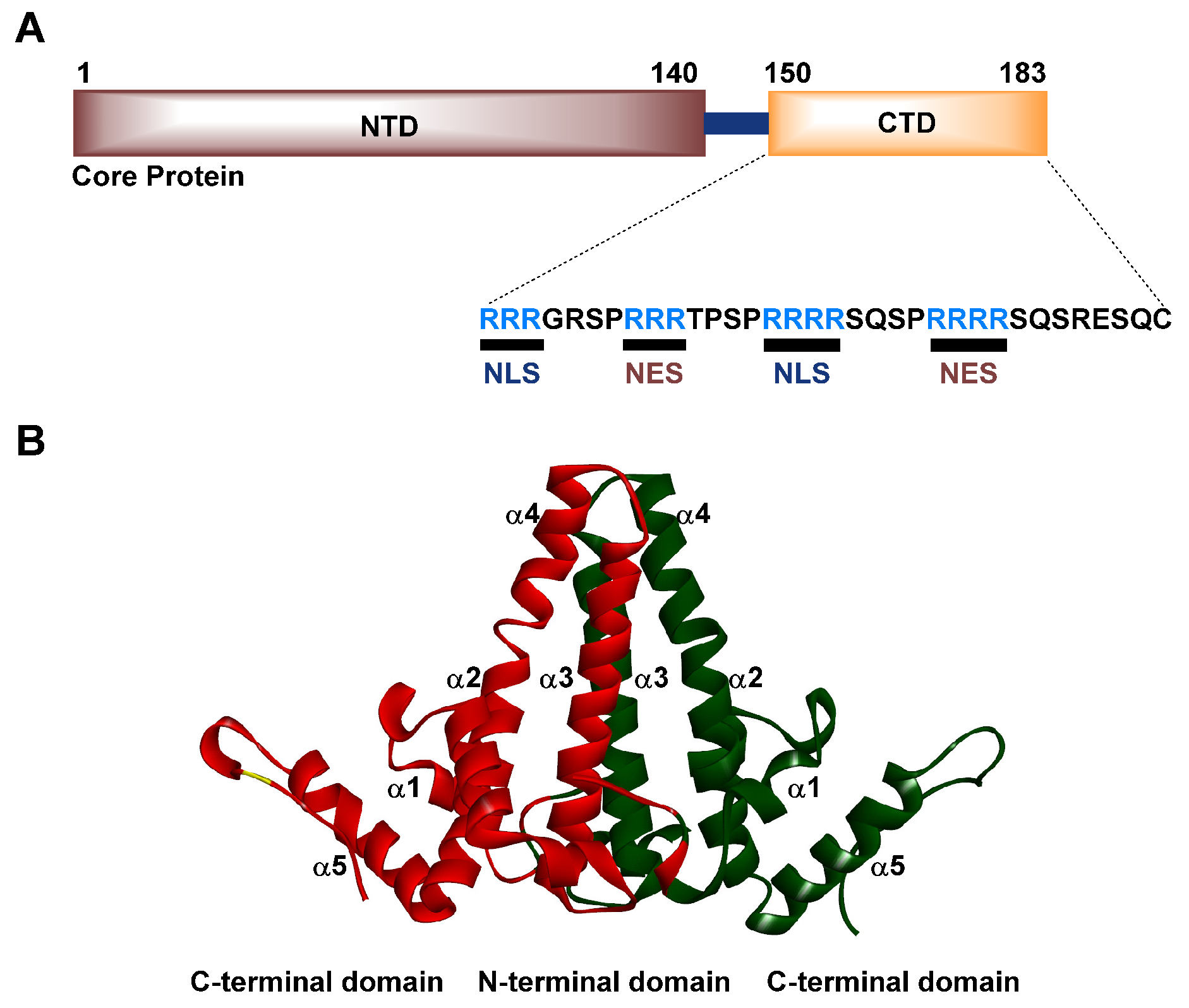 Viruses 15 02367 g003