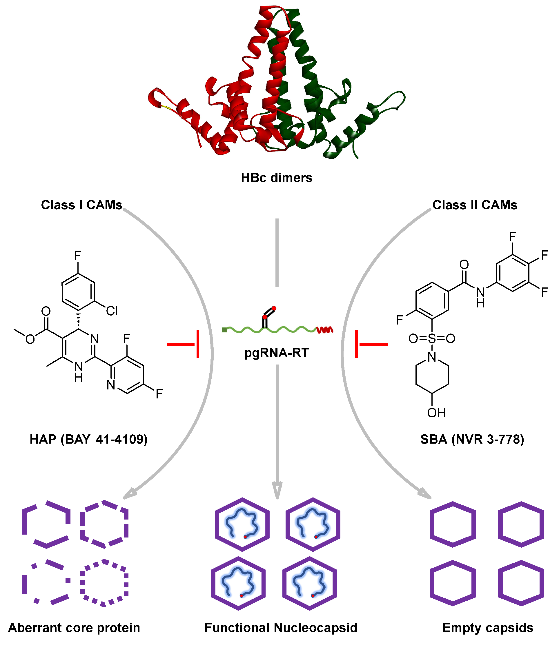 Viruses 15 02367 g004