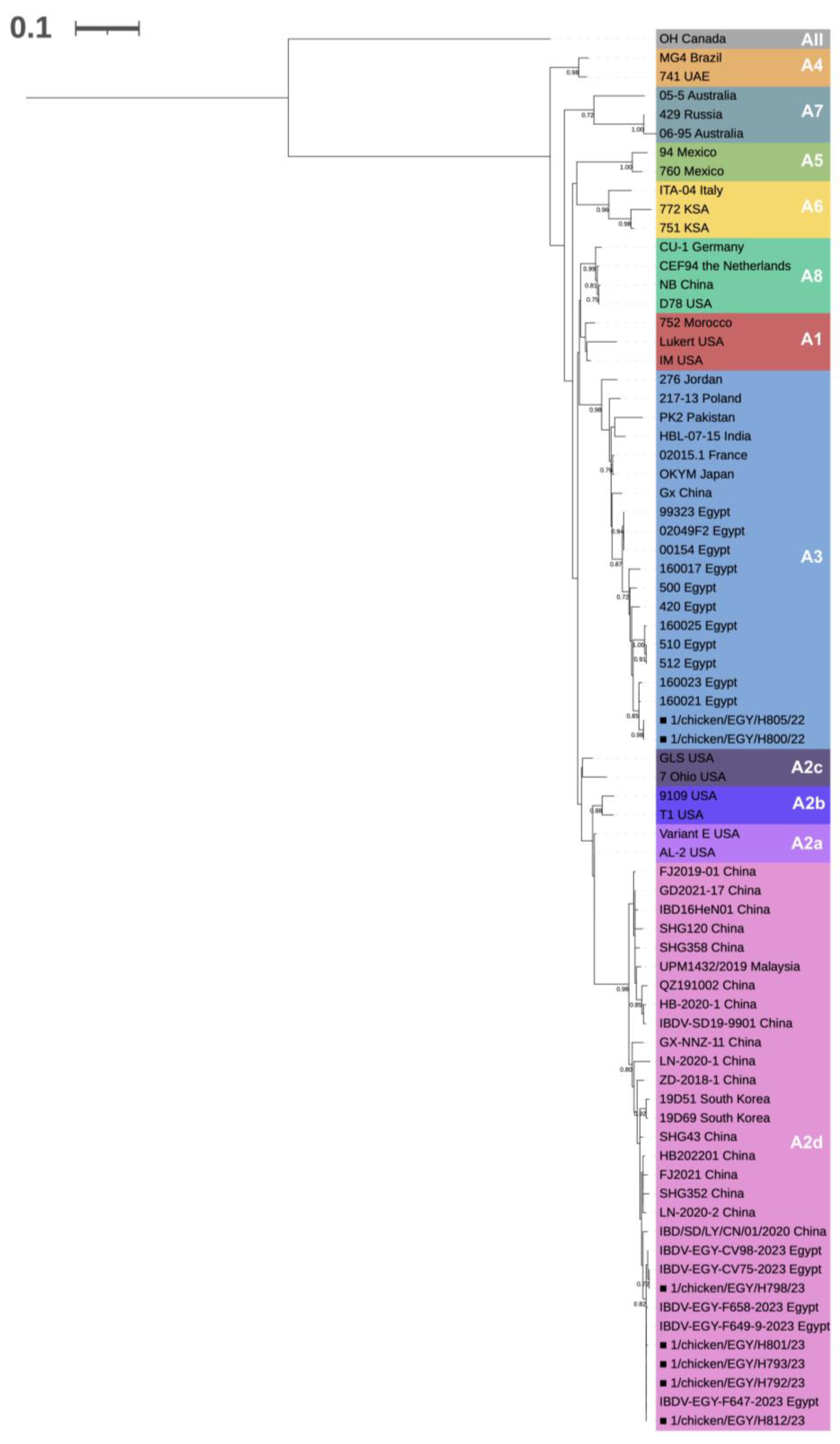 Viruses | Free Full-Text | First Detection and Molecular