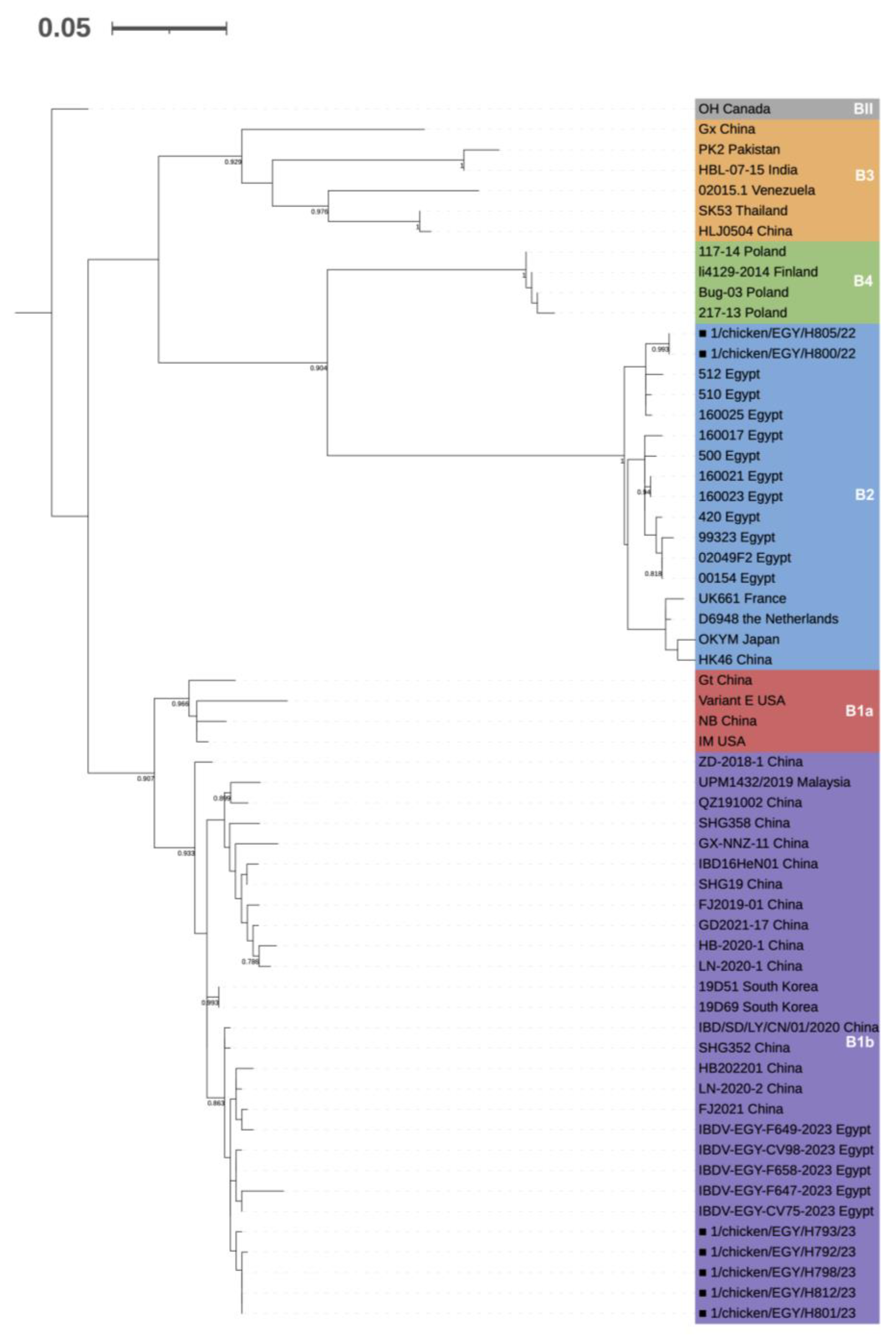 Viruses | Free Full-Text | First Detection and Molecular