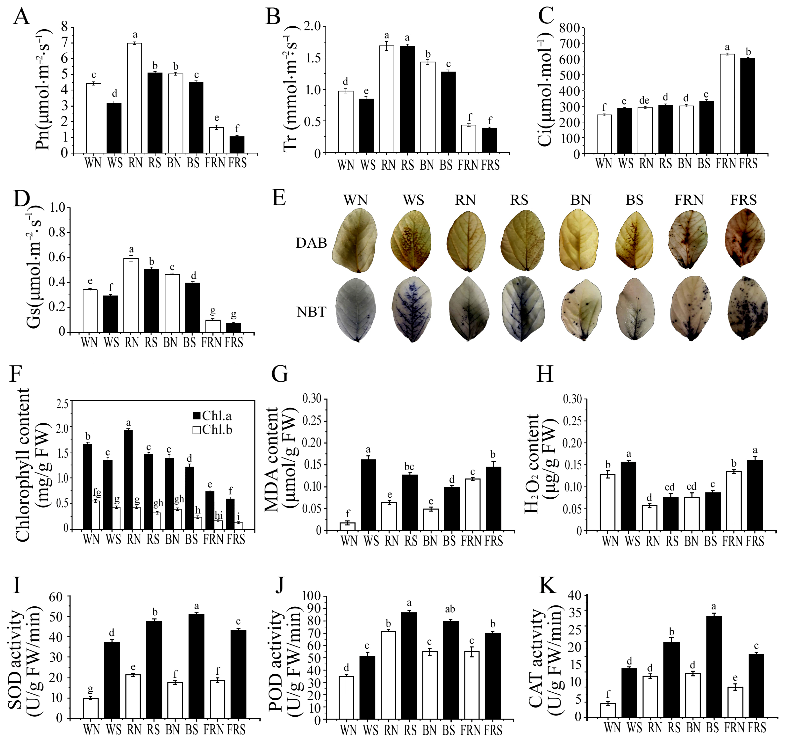 Viruses 15 02389 g002