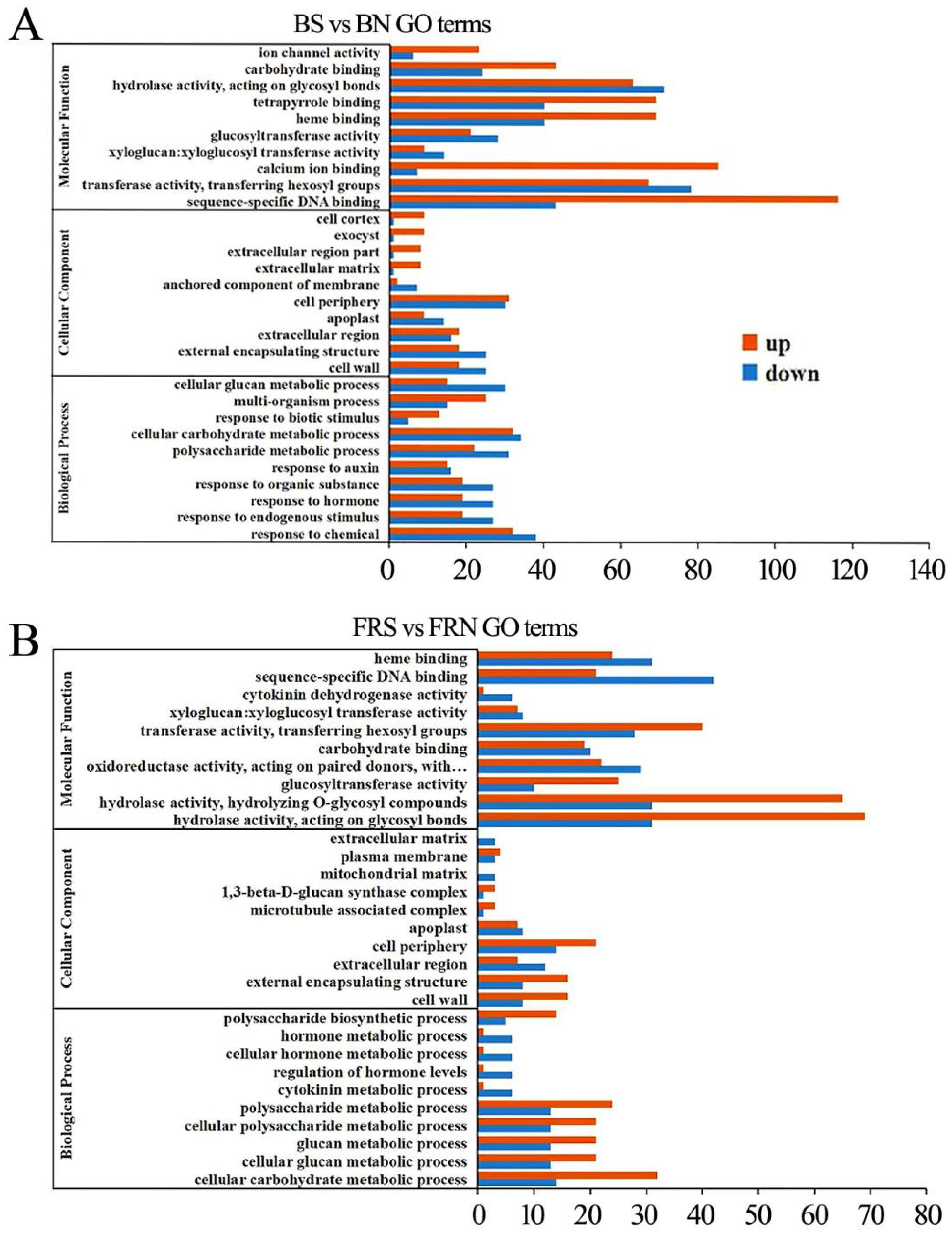 Viruses 15 02389 g005