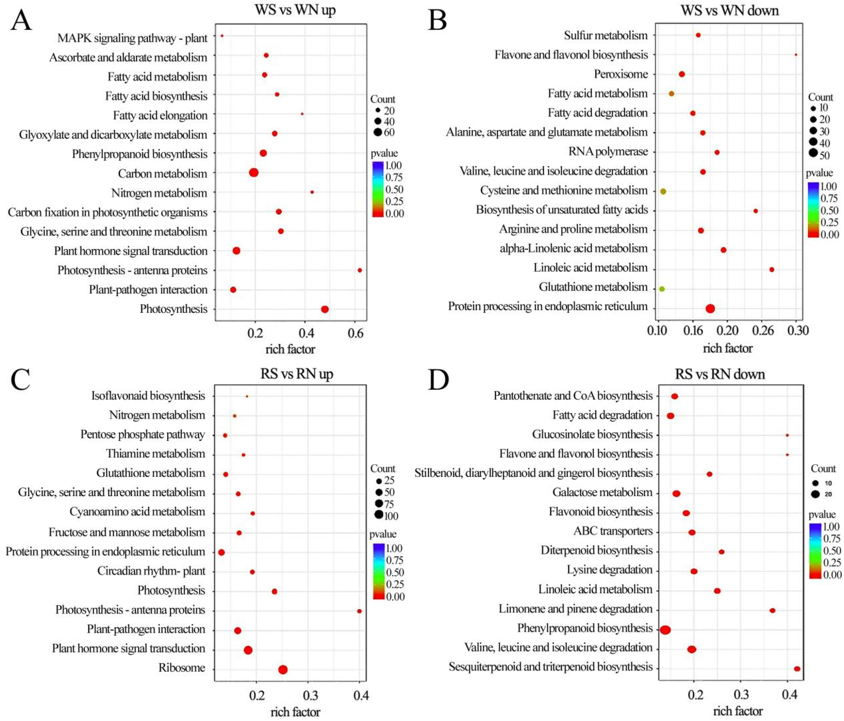 Viruses 15 02389 g006