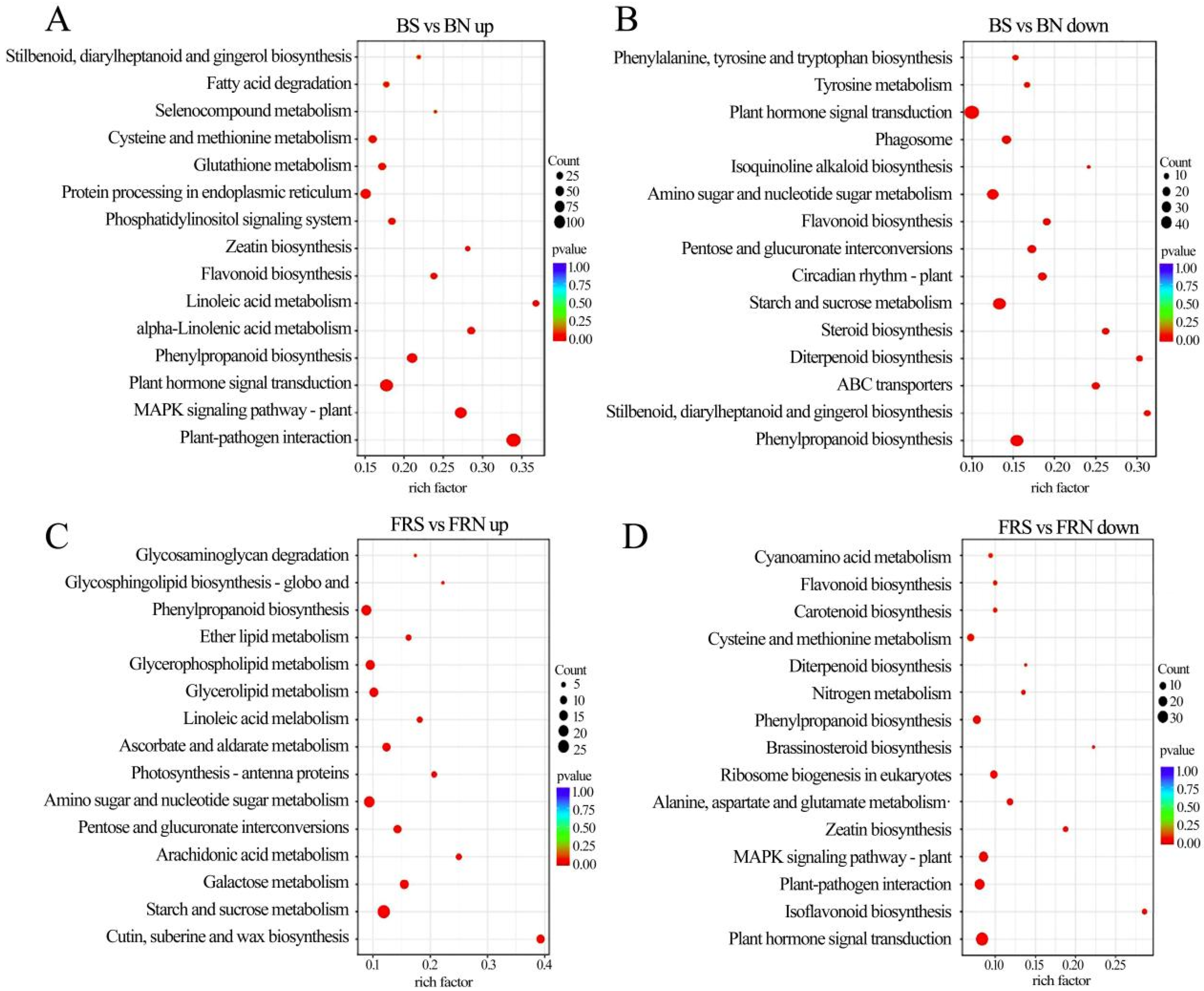 Viruses 15 02389 g007
