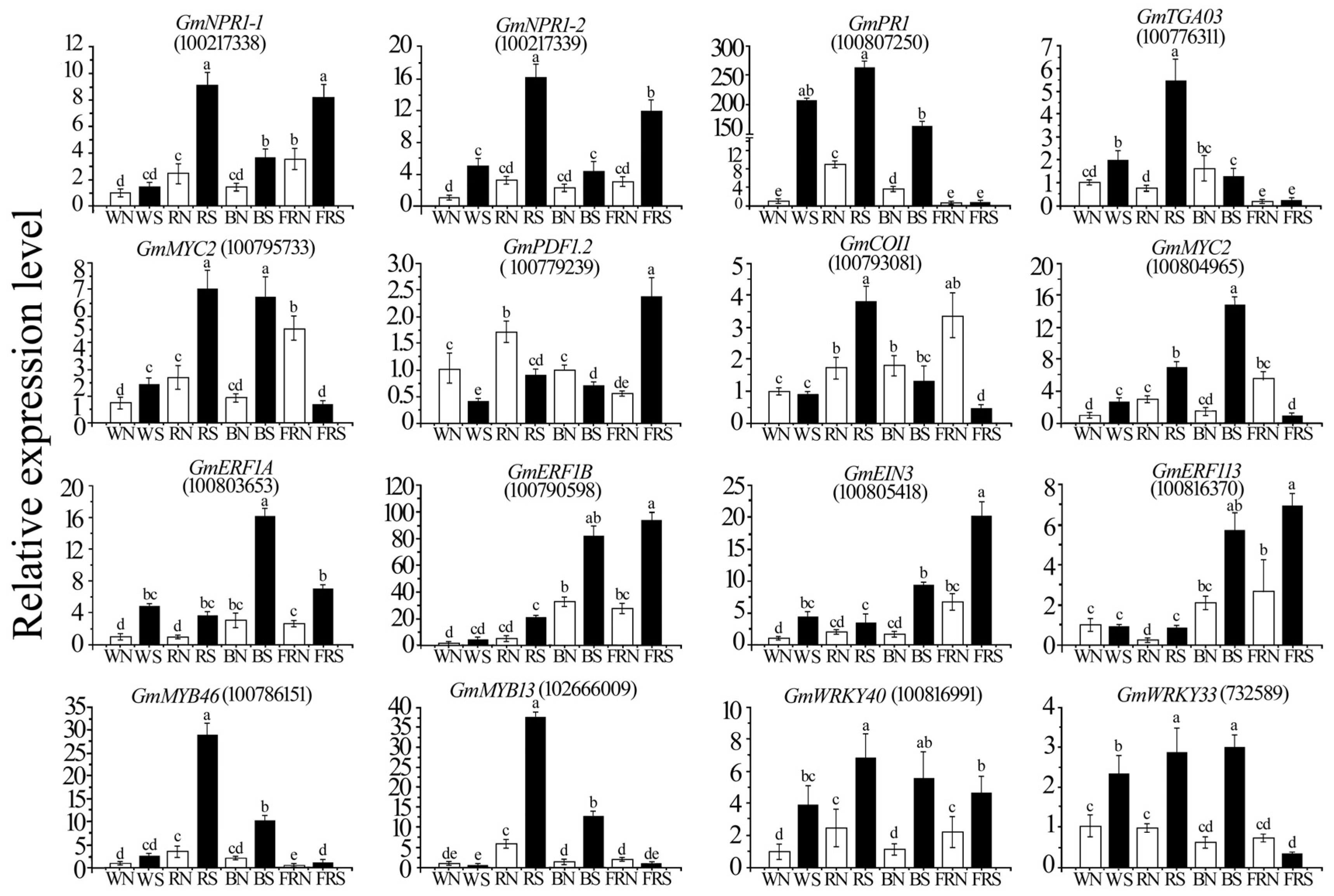 Viruses 15 02389 g008