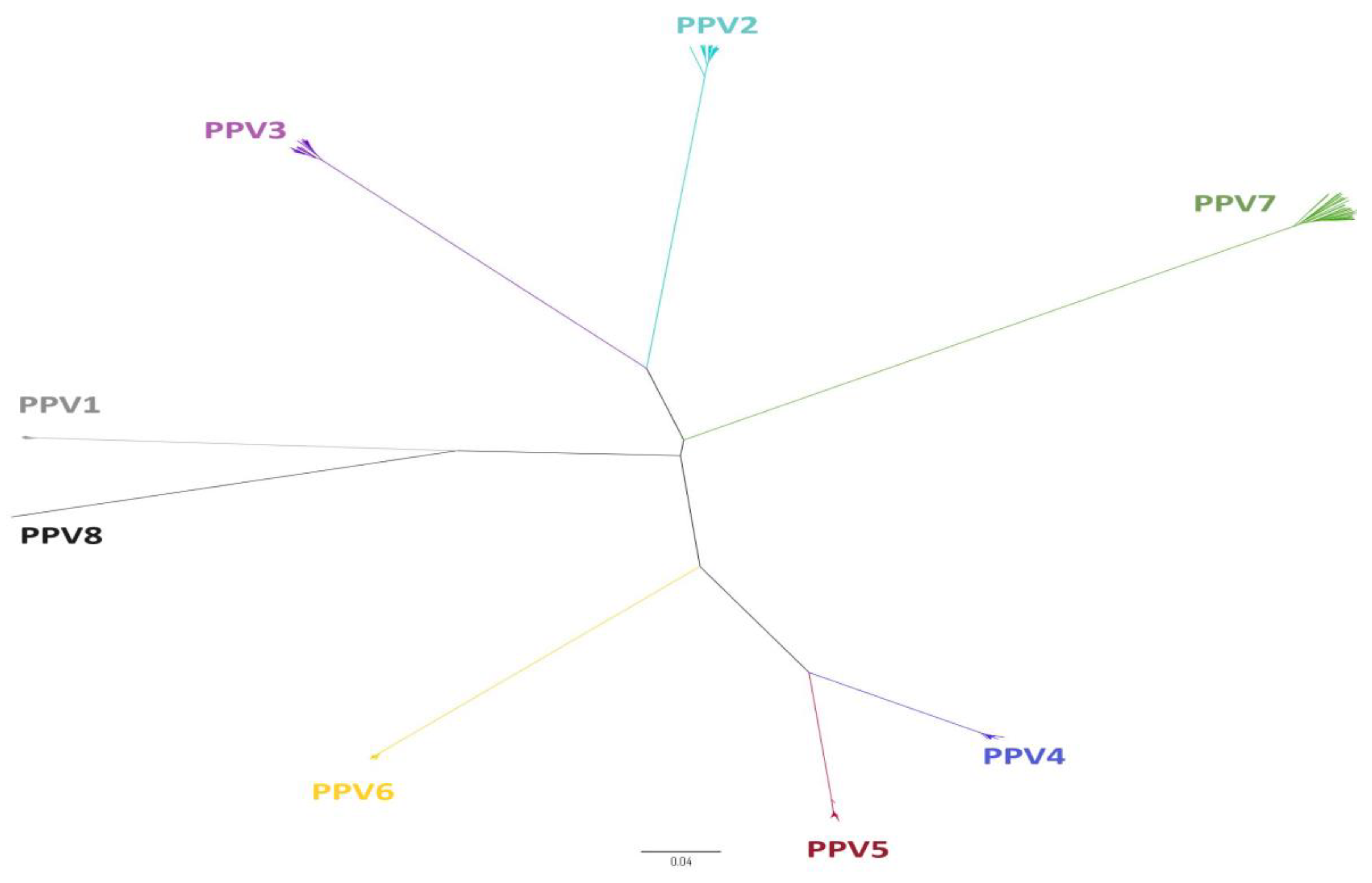 Viruses 15 02398 g001 Viruses 15 02398 g001