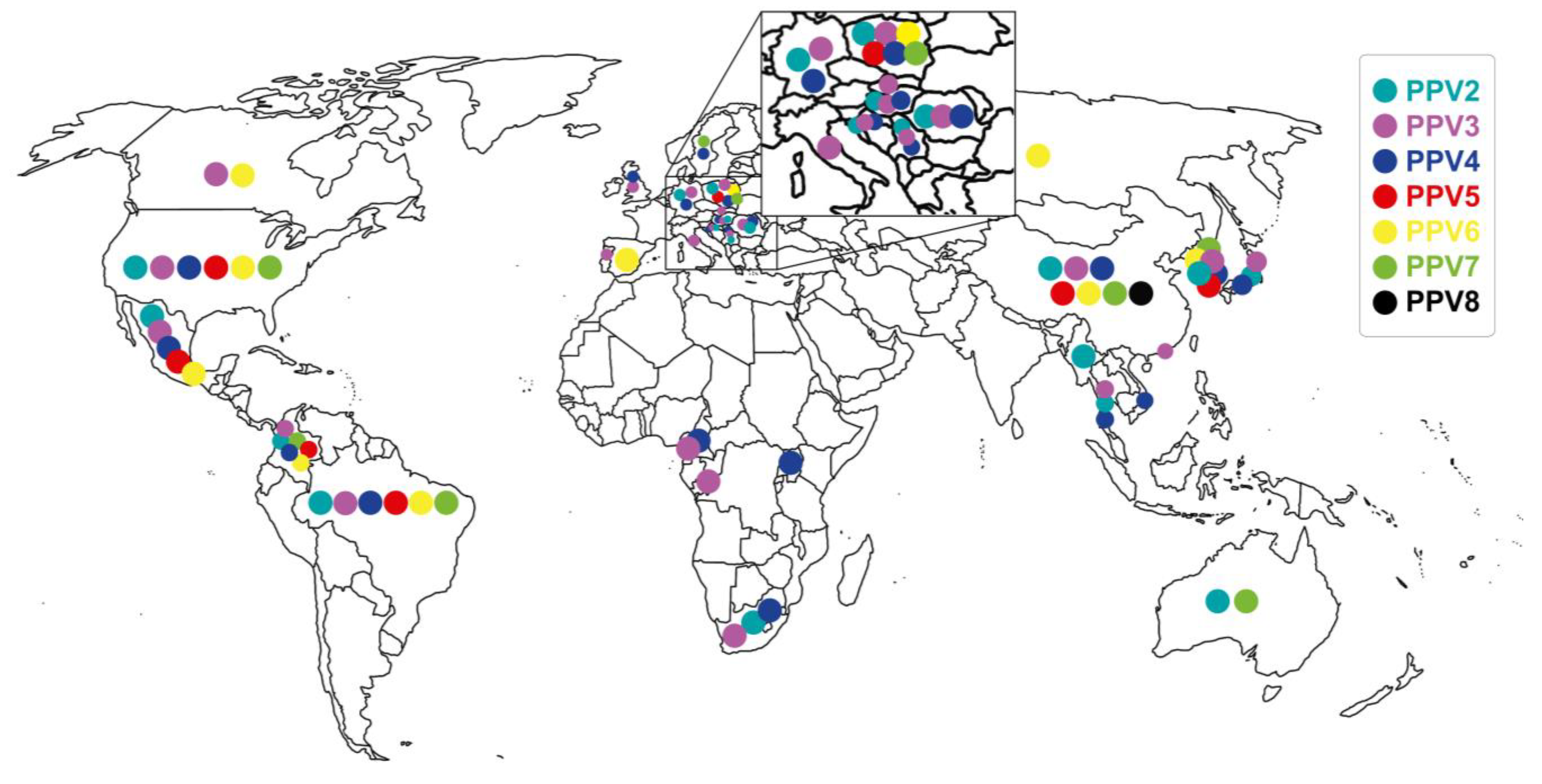 Viruses 15 02398 g002 Viruses 15 02398 g002