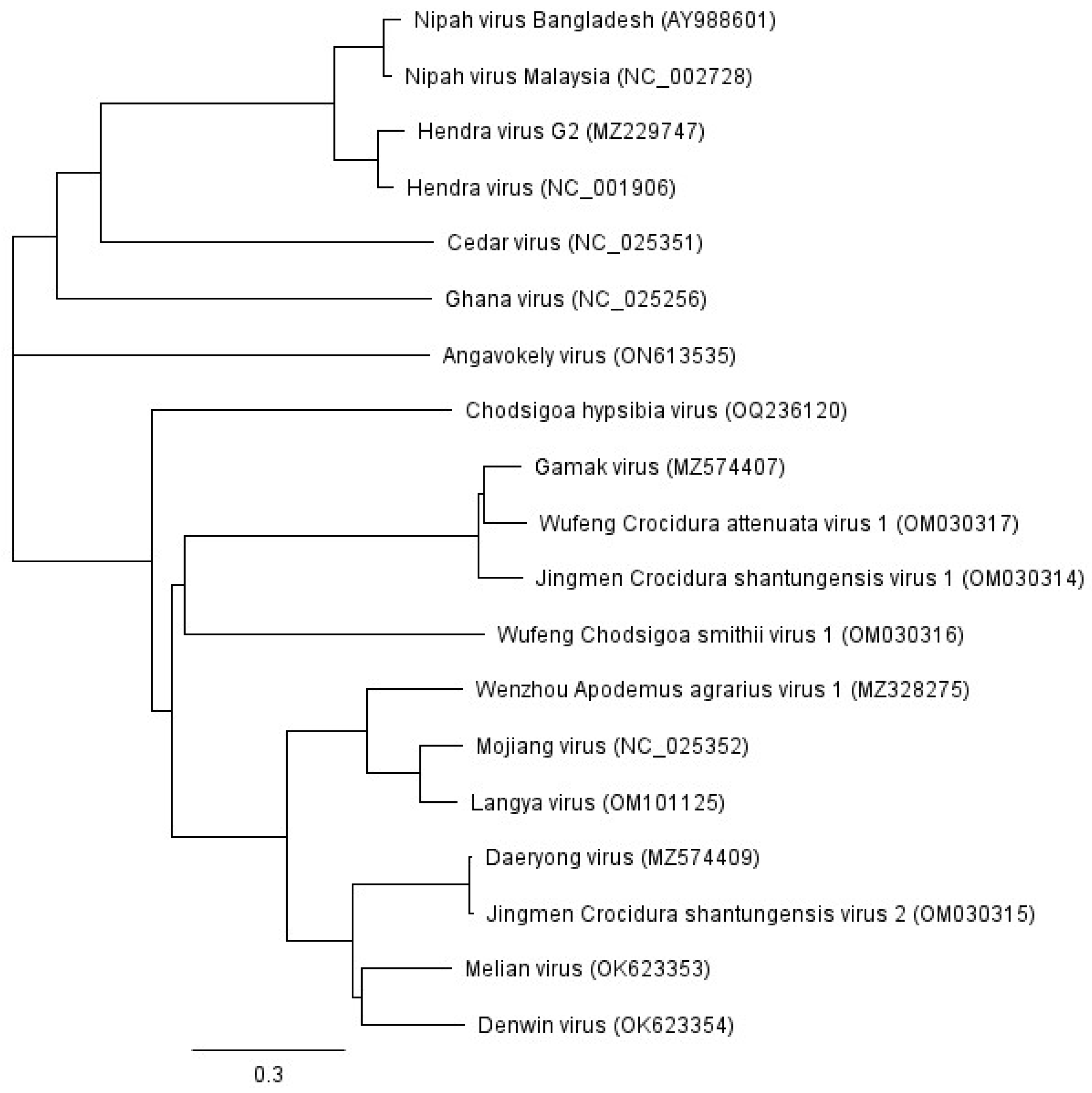 Viruses 15 02407 g001