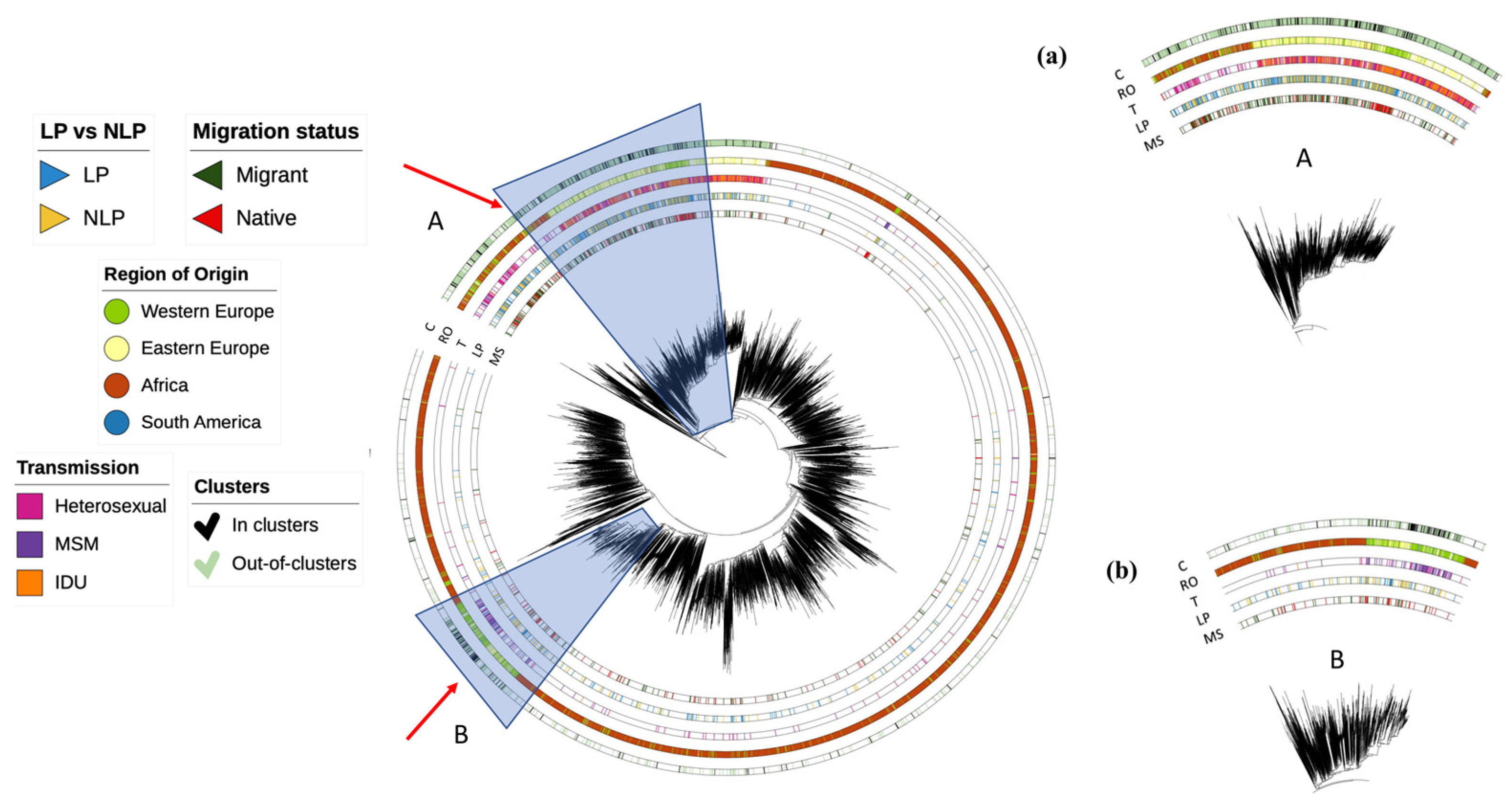 Viruses 15 02418 g001