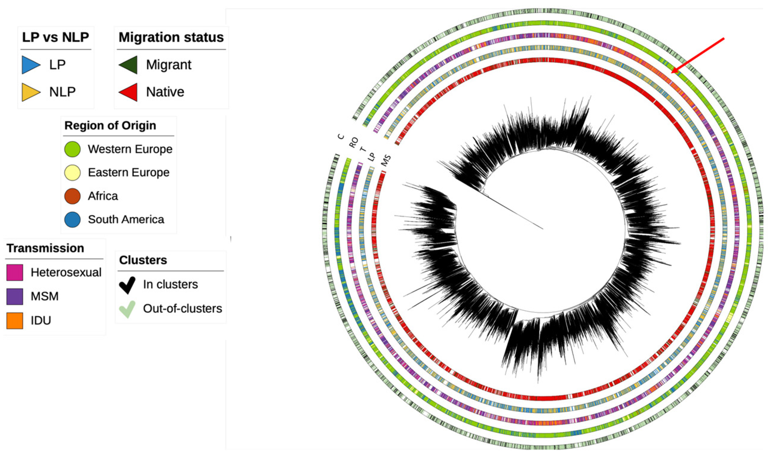 Viruses 15 02418 g002