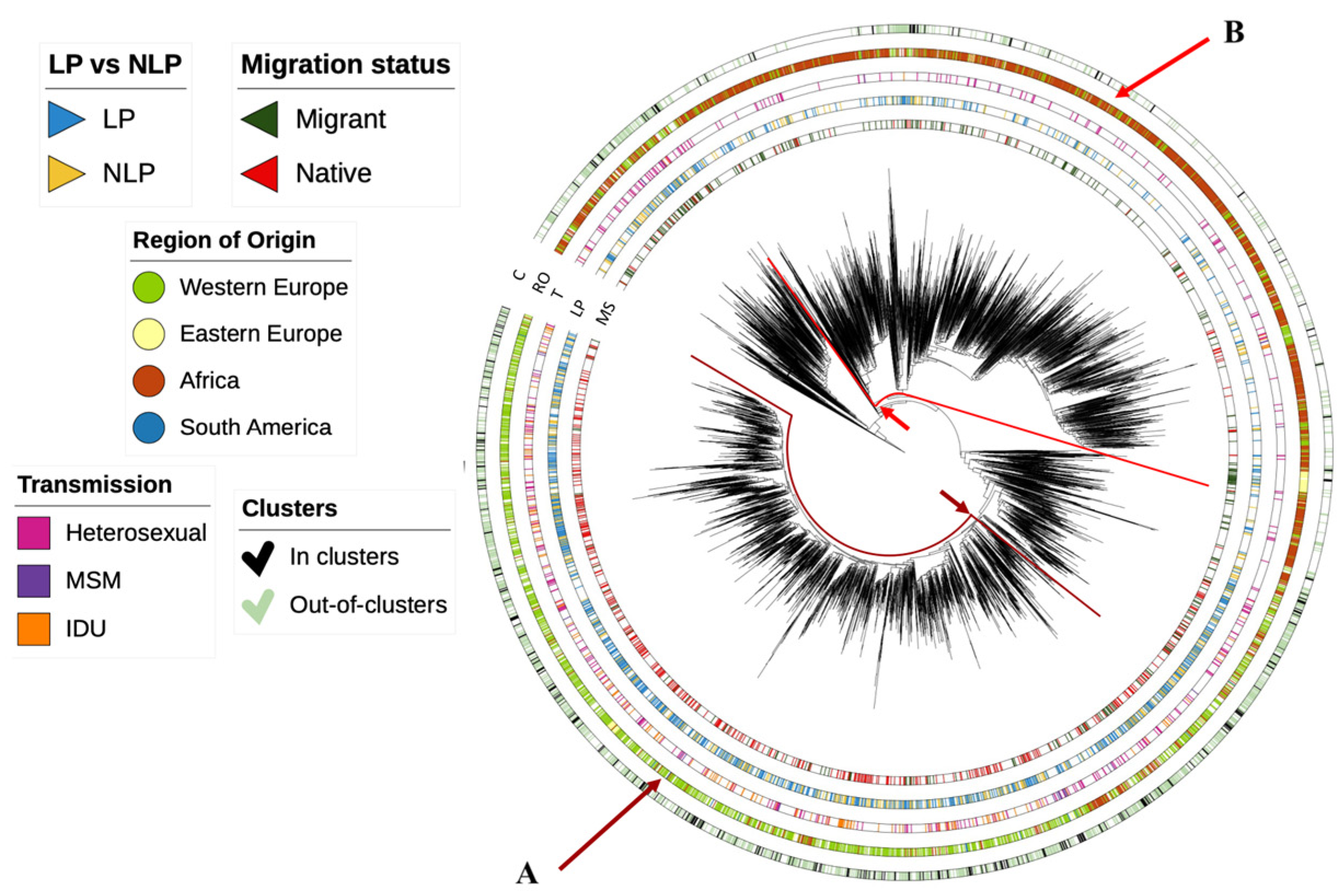 Viruses 15 02418 g003