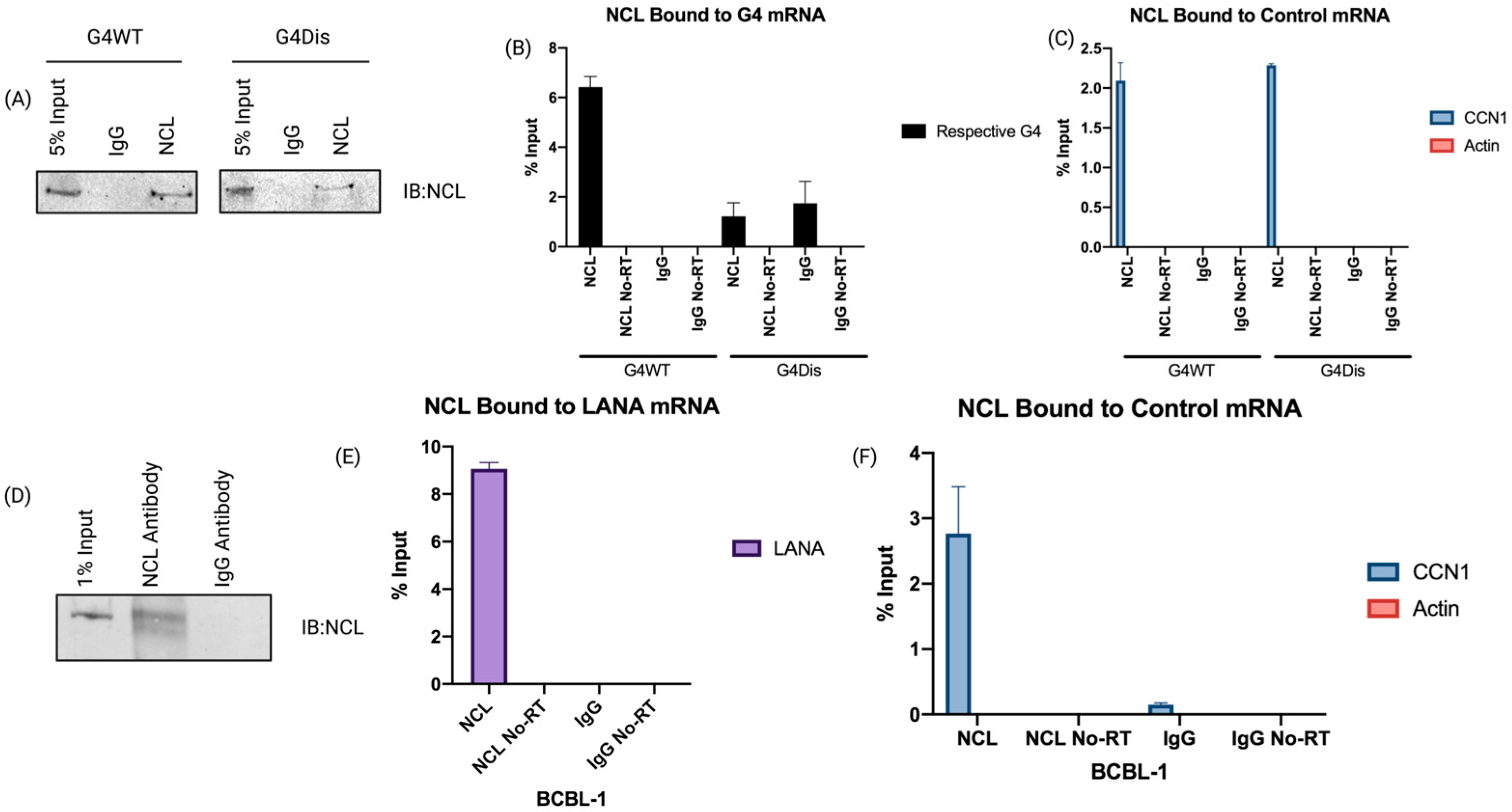 Viruses 15 02438 g002