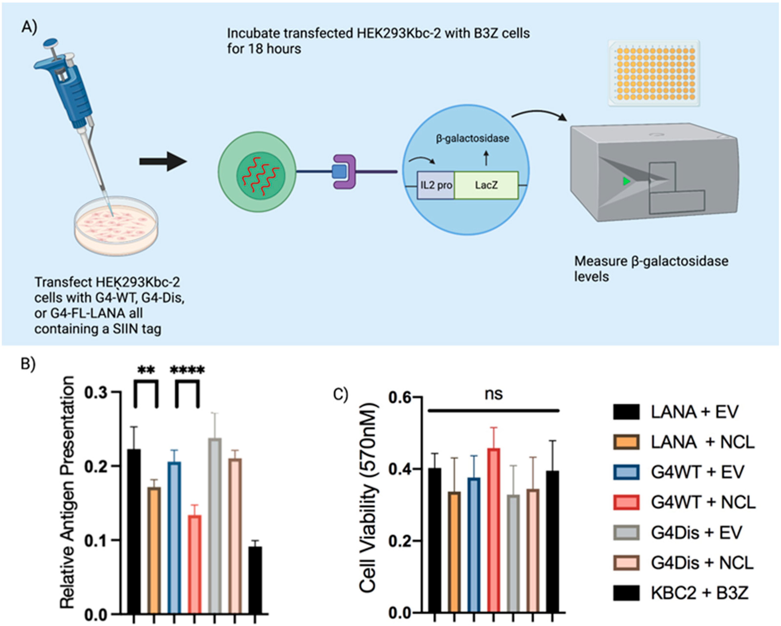 Viruses 15 02438 g005