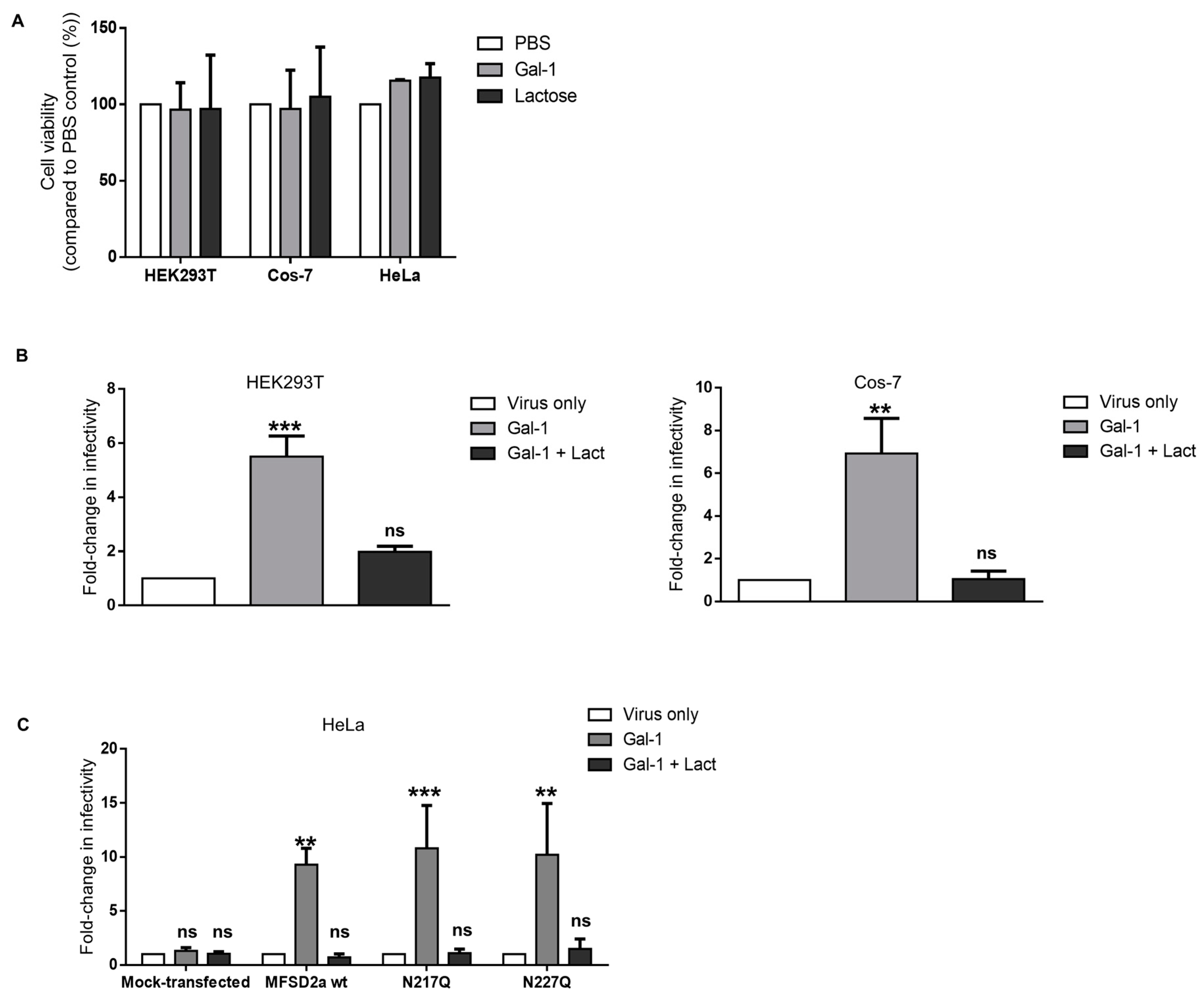 Viruses 15 02441 g003