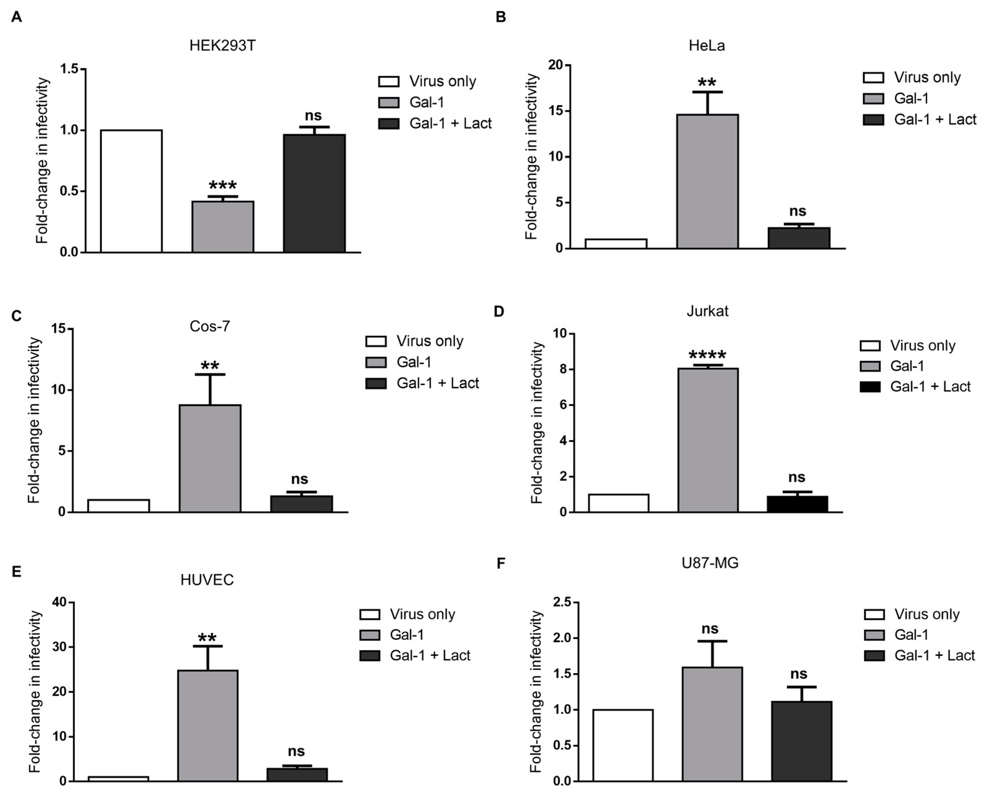 Viruses 15 02441 g005