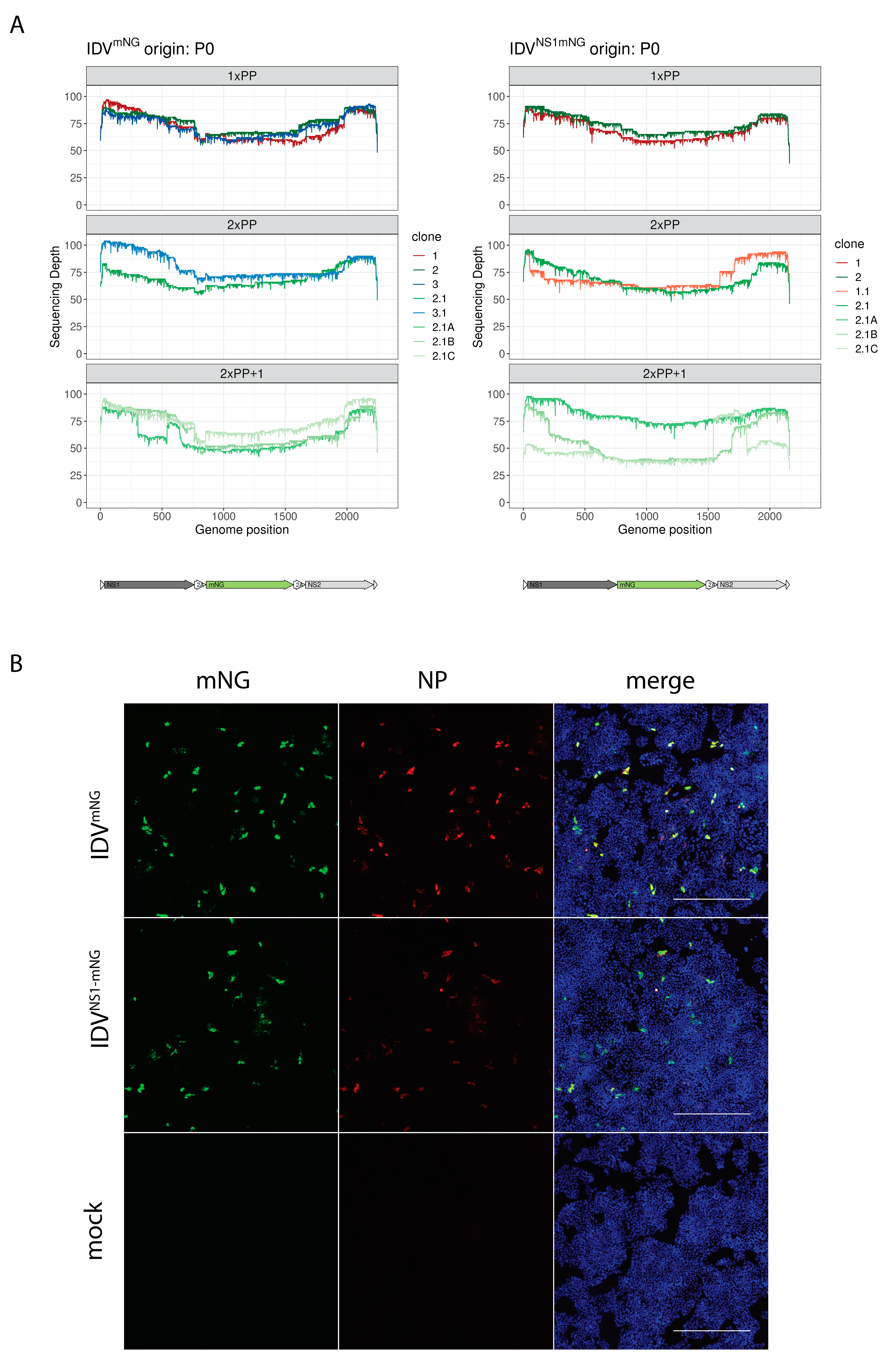Viruses 15 02444 g003