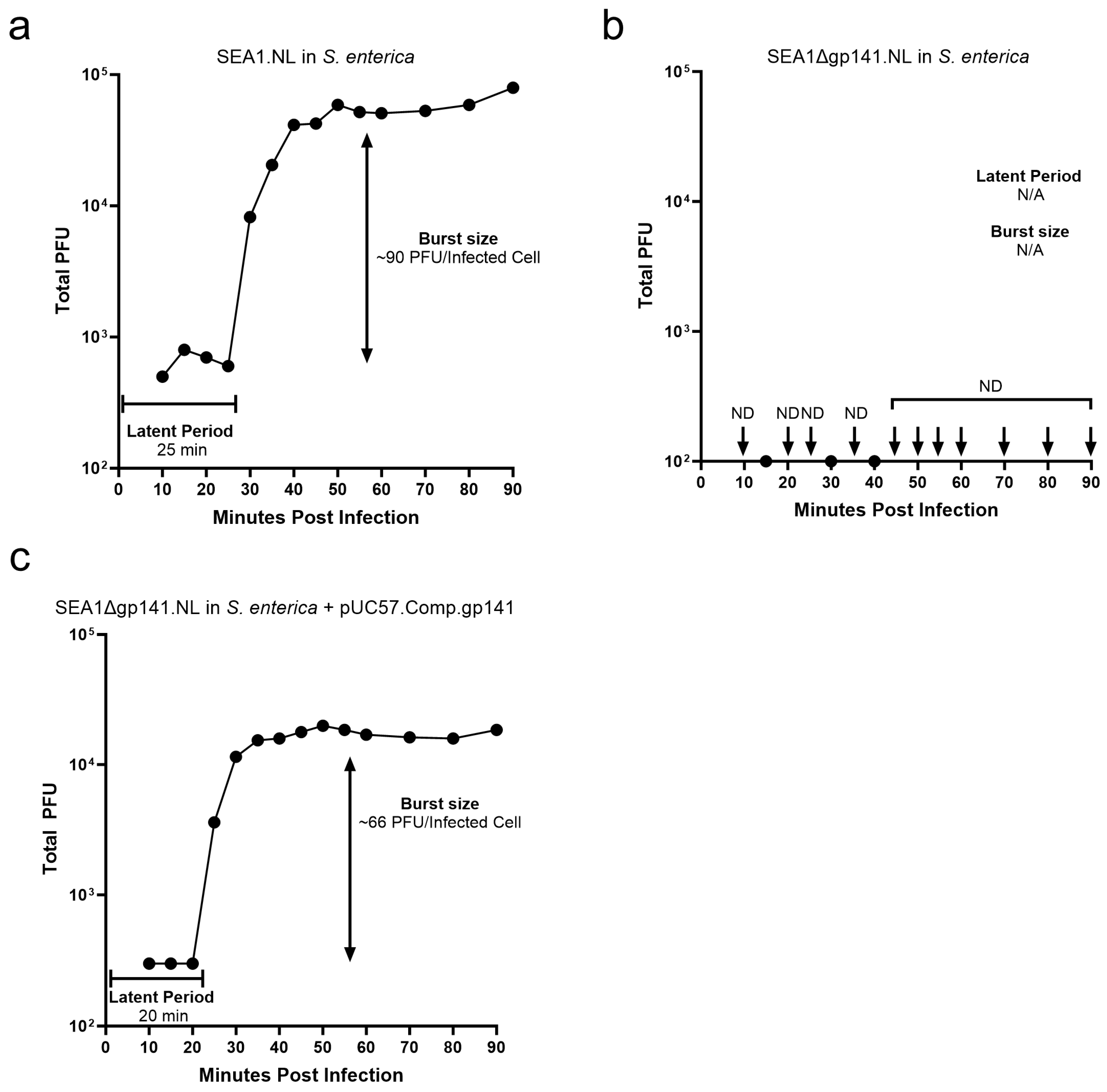 Viruses 16 00008 g004