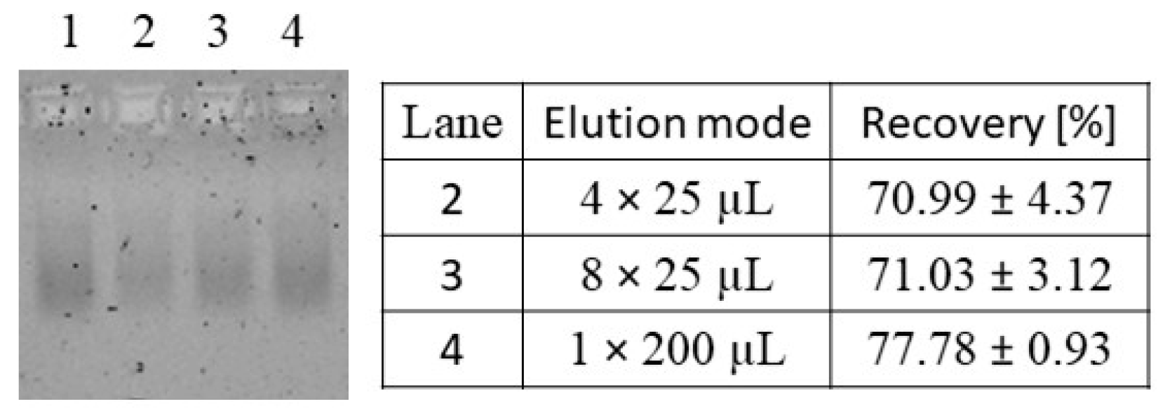 Viruses 16 00013 g004