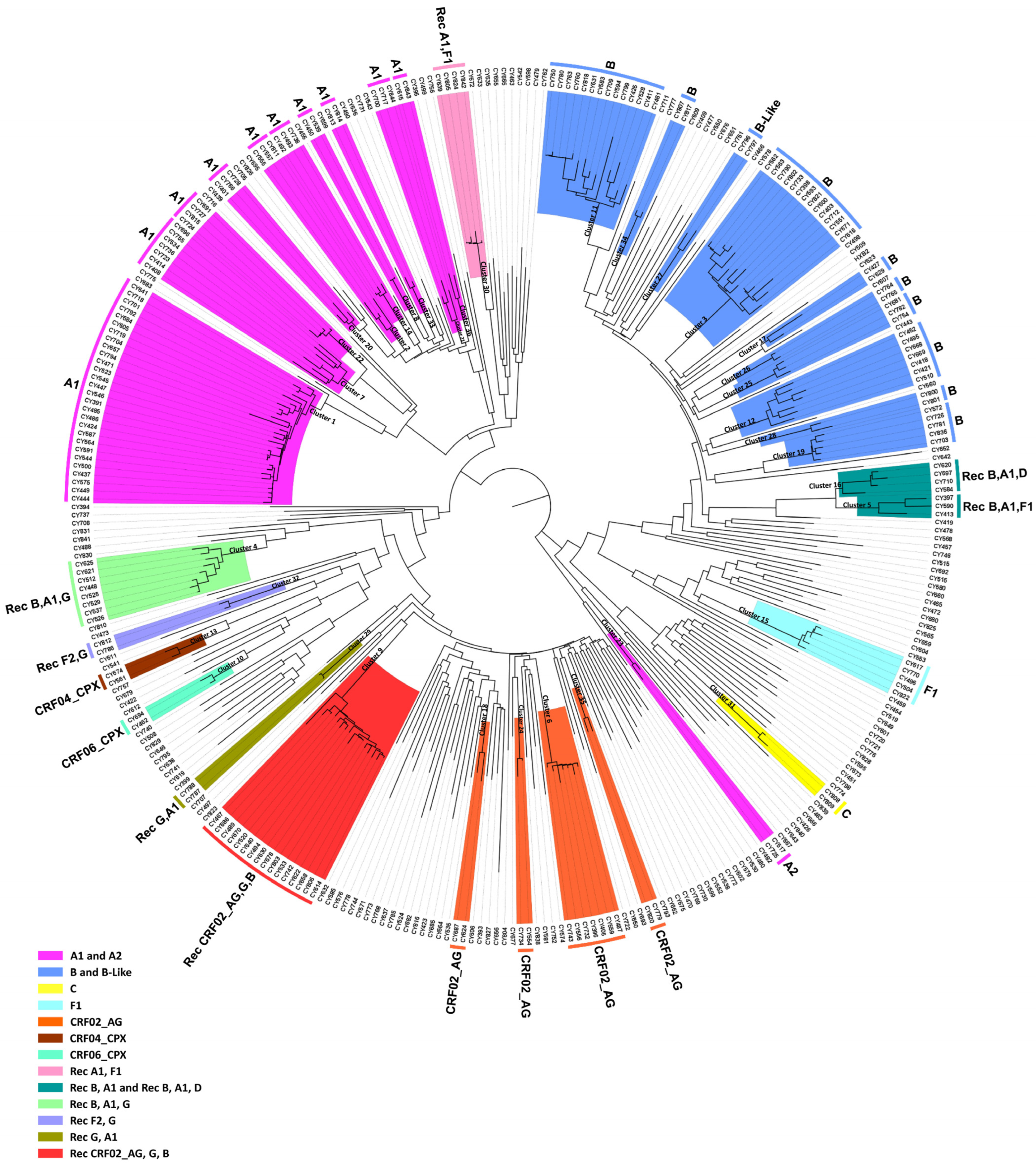 Viruses 16 00019 g001 Viruses 16 00019 g001