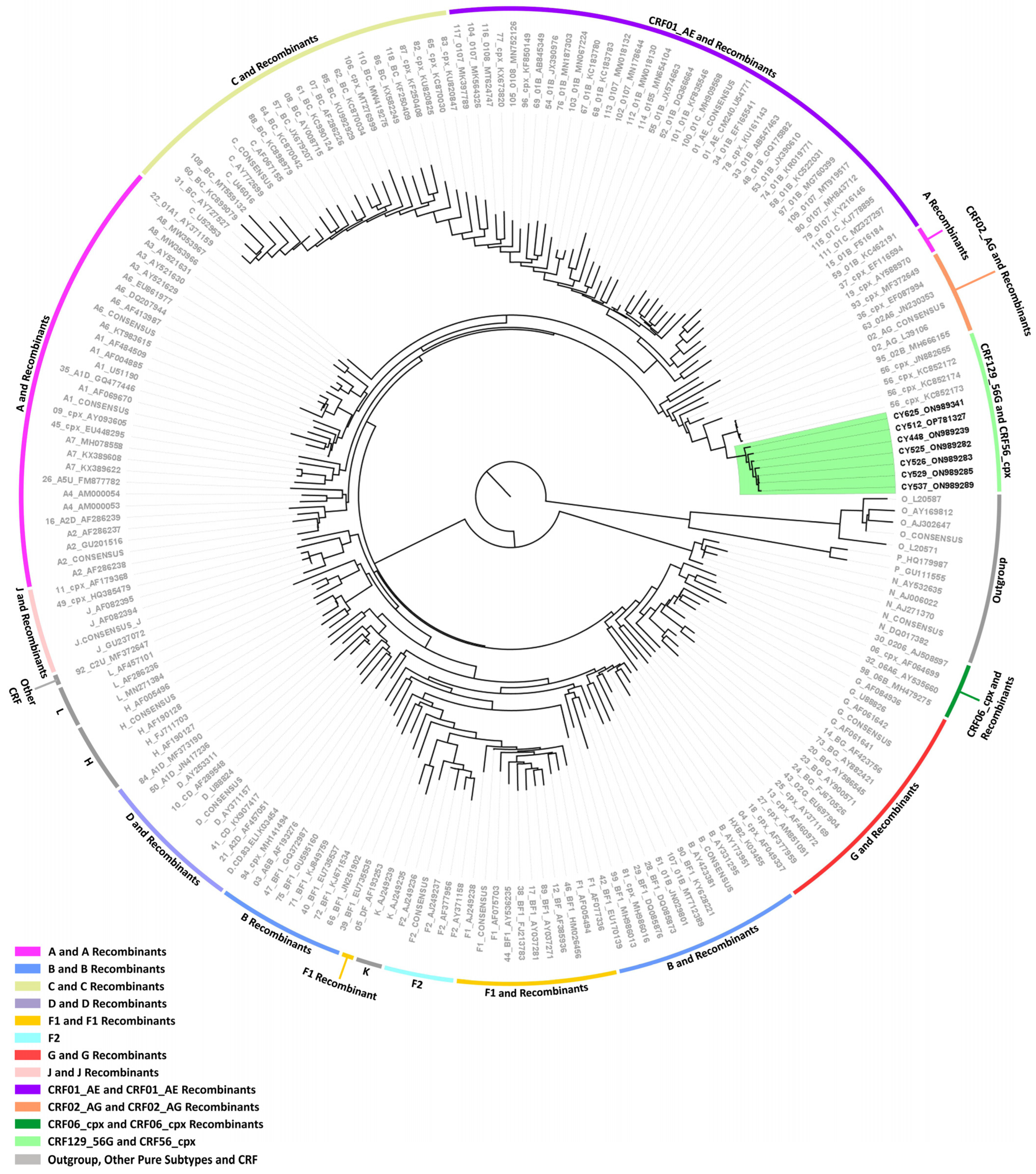 Viruses 16 00019 g002 Viruses 16 00019 g002