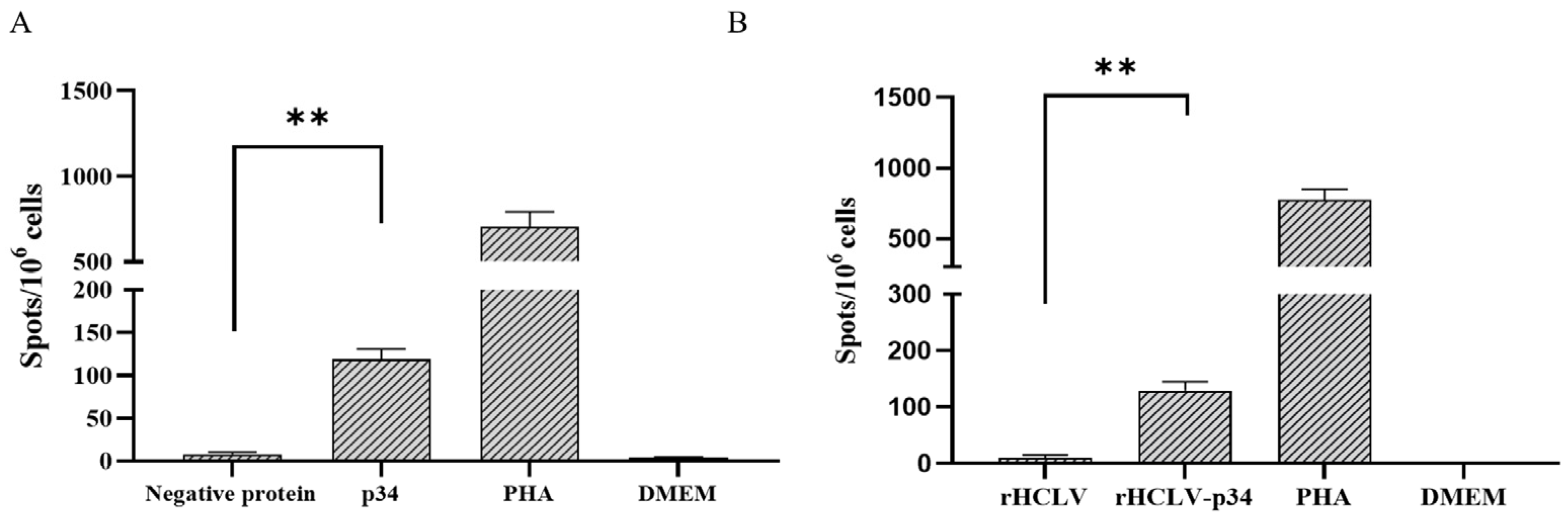 Viruses 16 00038 g003