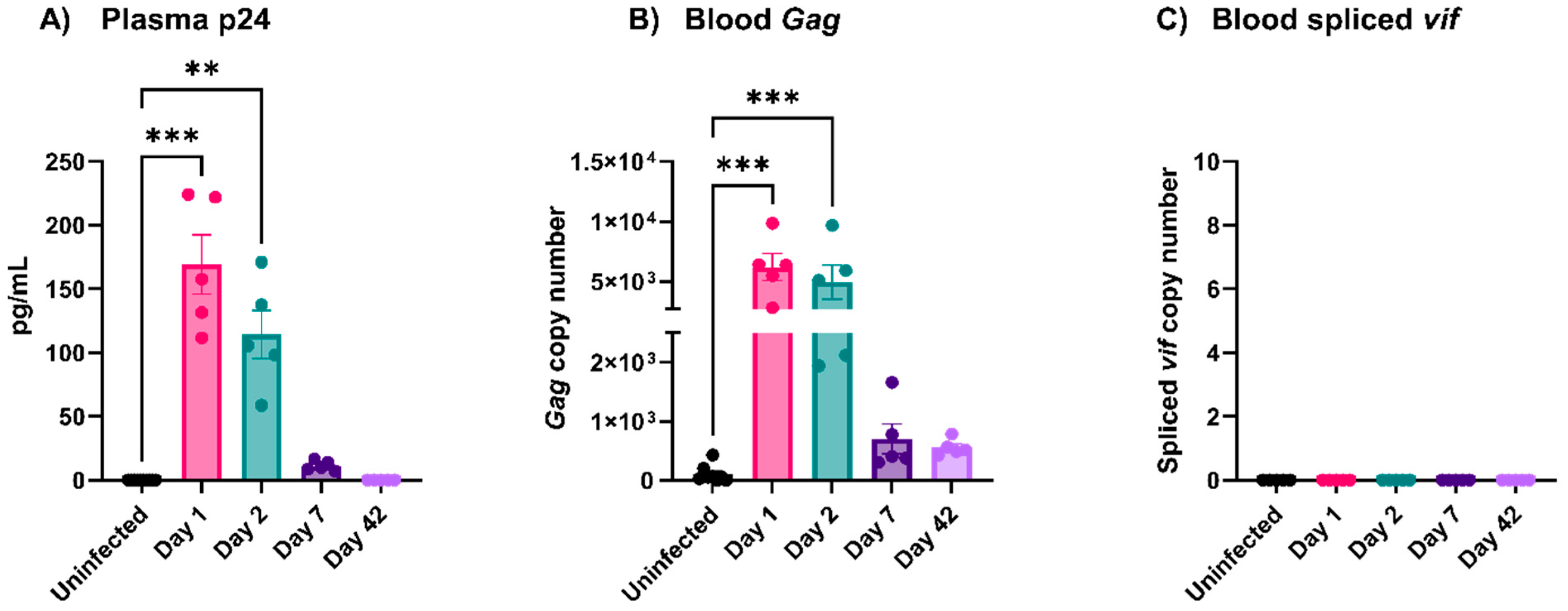 Viruses 16 00055 g002