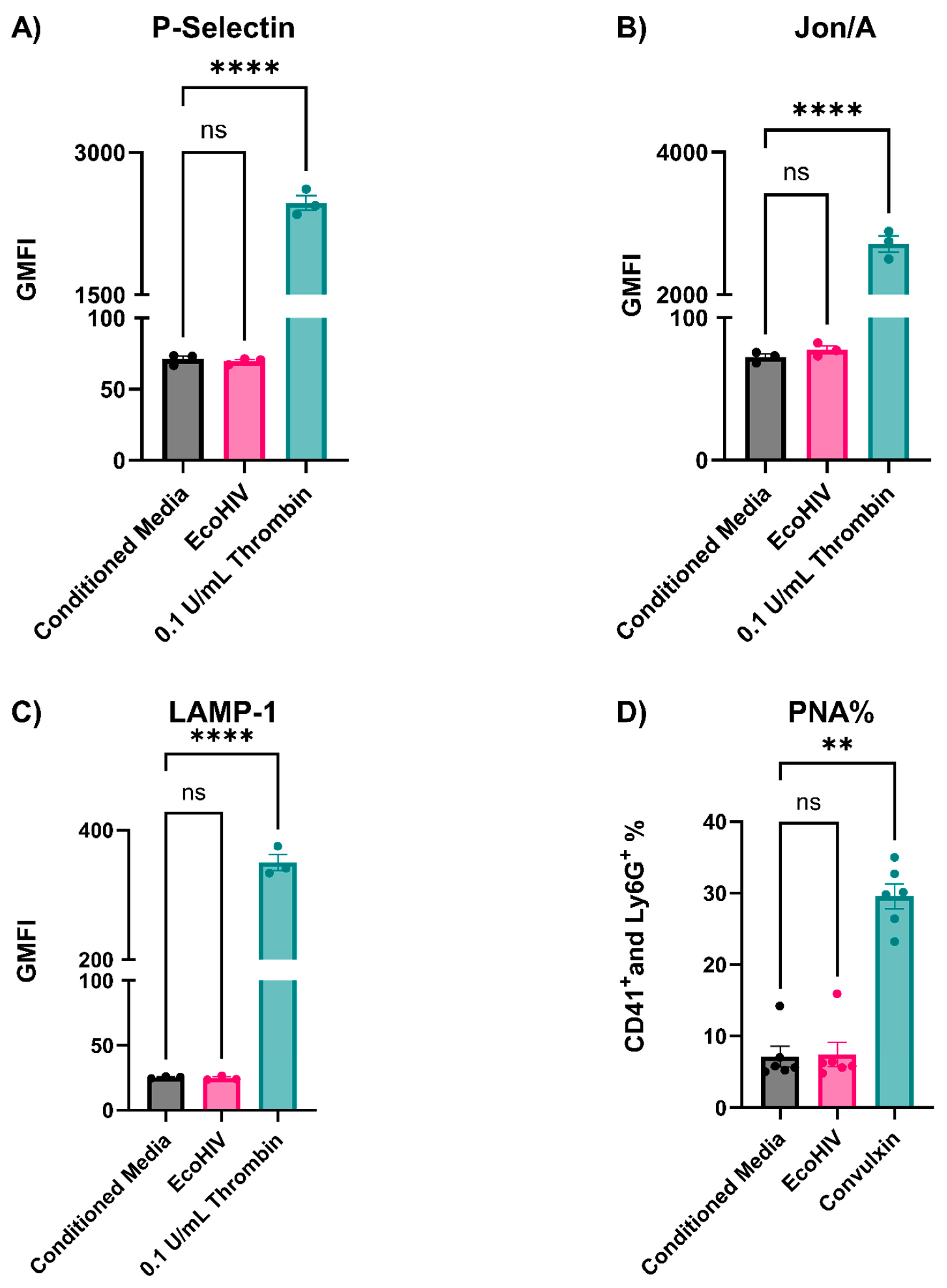 Viruses 16 00055 g005