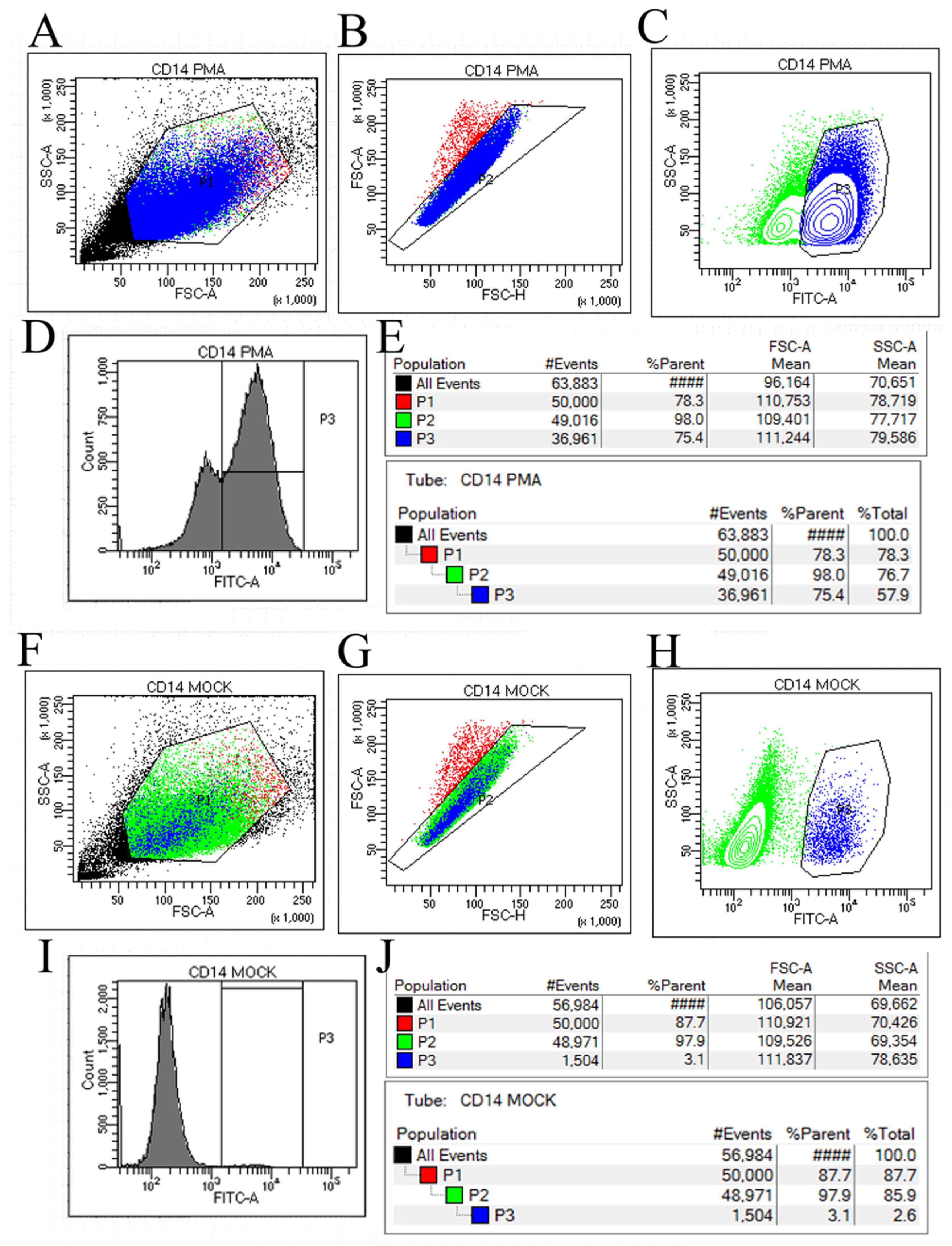 Viruses 16 00059 g002