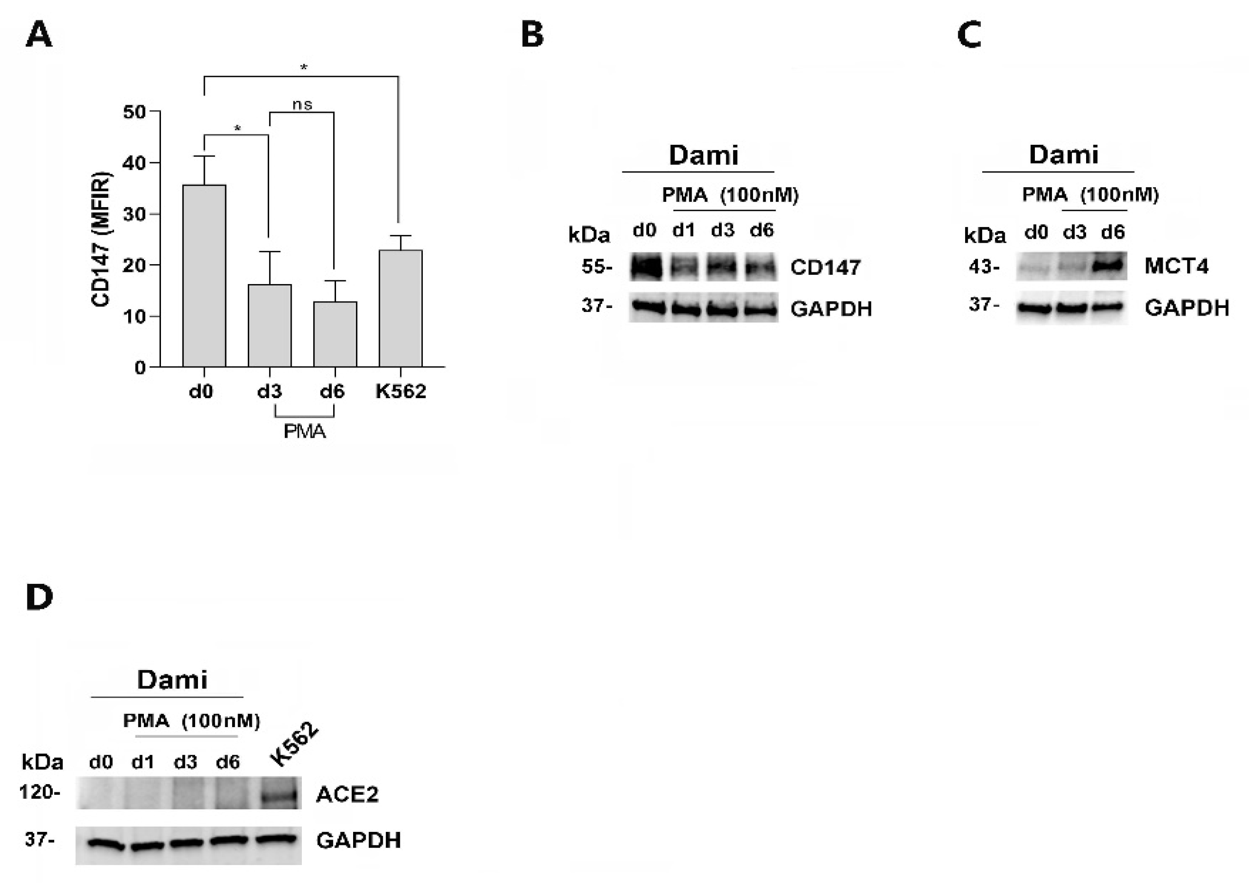 Viruses 16 00082 g002 Viruses 16 00082 g002