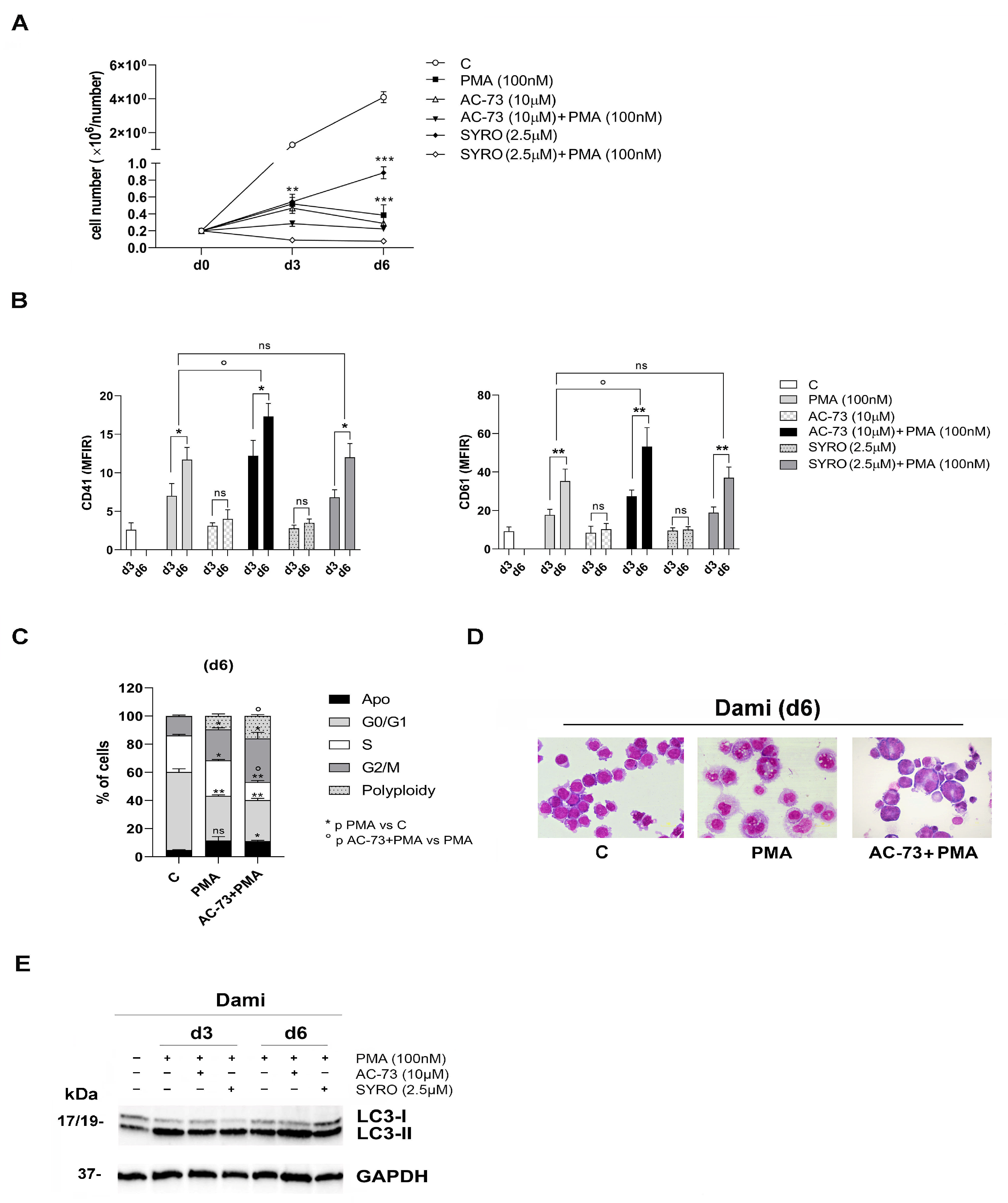 Viruses 16 00082 g003 Viruses 16 00082 g003
