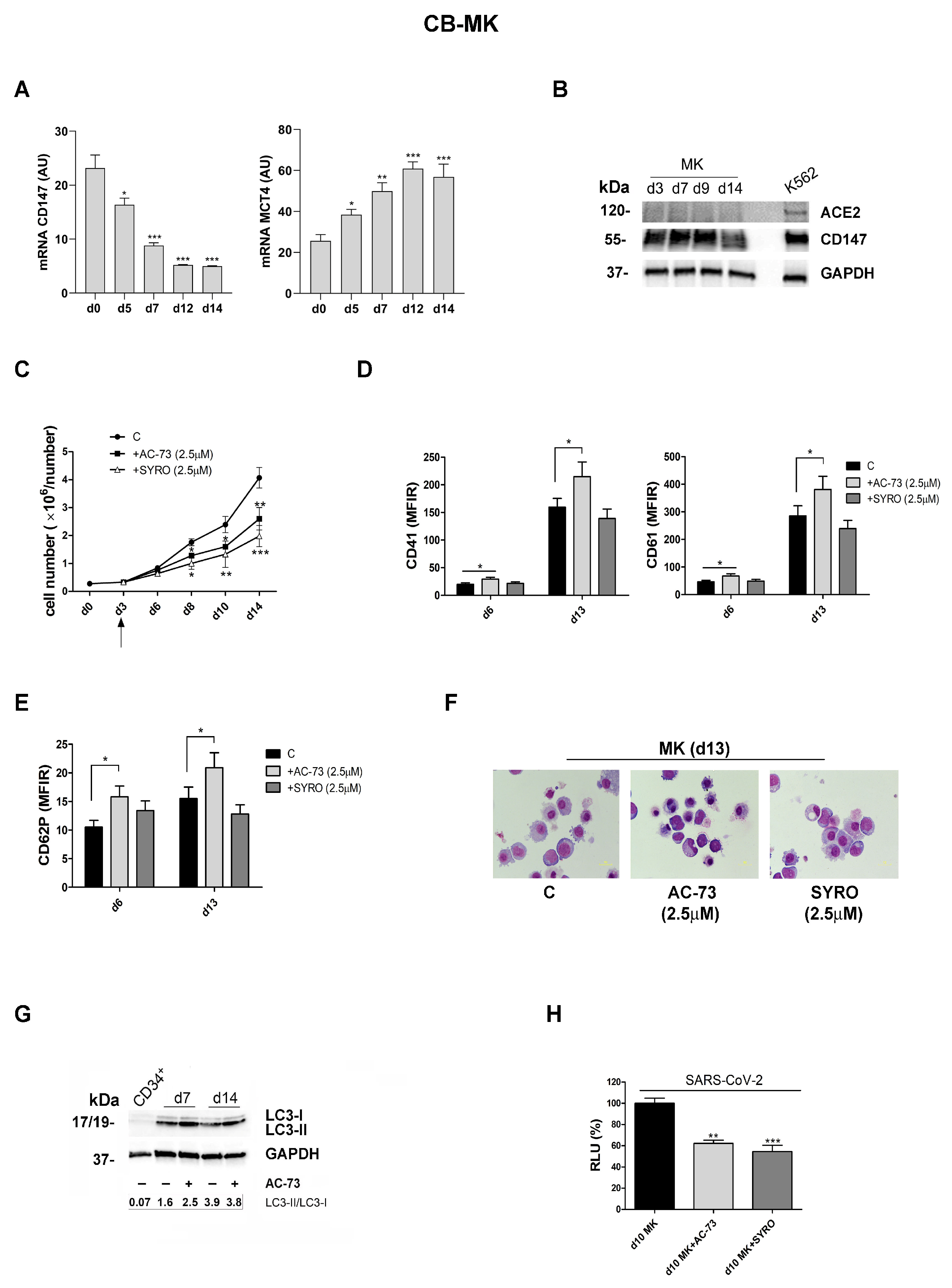 Viruses 16 00082 g005 Viruses 16 00082 g005