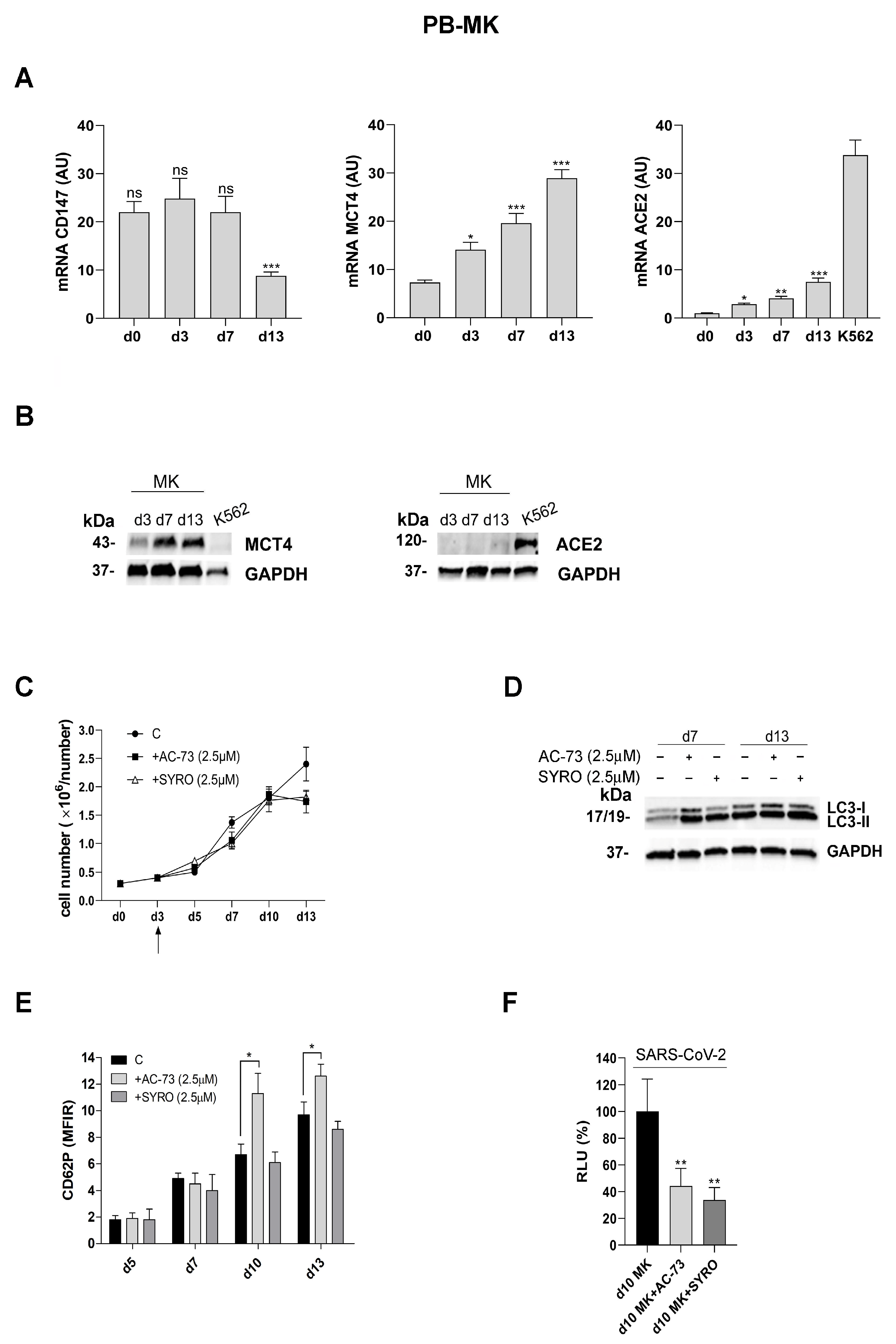 Viruses 16 00082 g006 Viruses 16 00082 g006