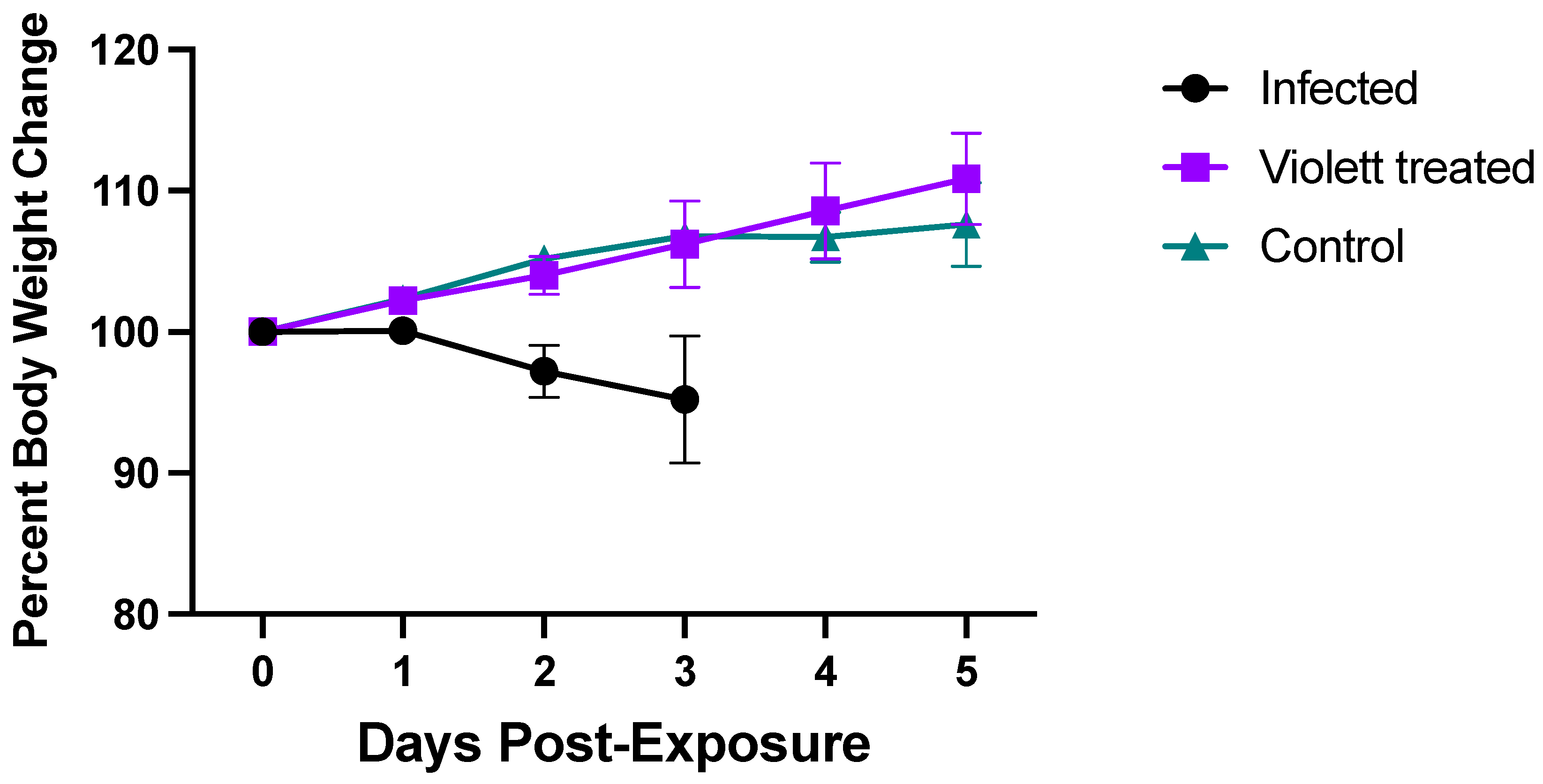 Viruses 16 00089 g003
