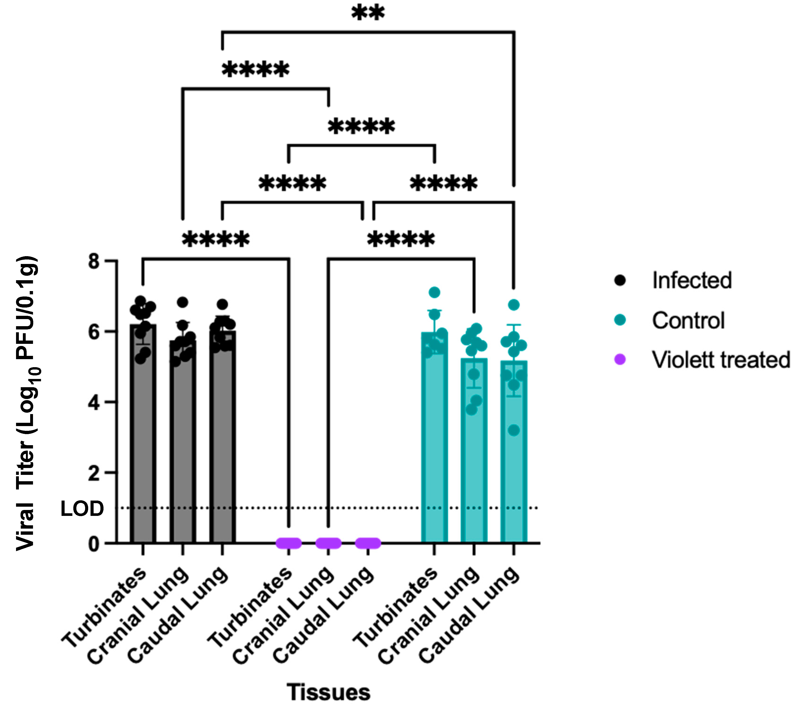 Viruses 16 00089 g005