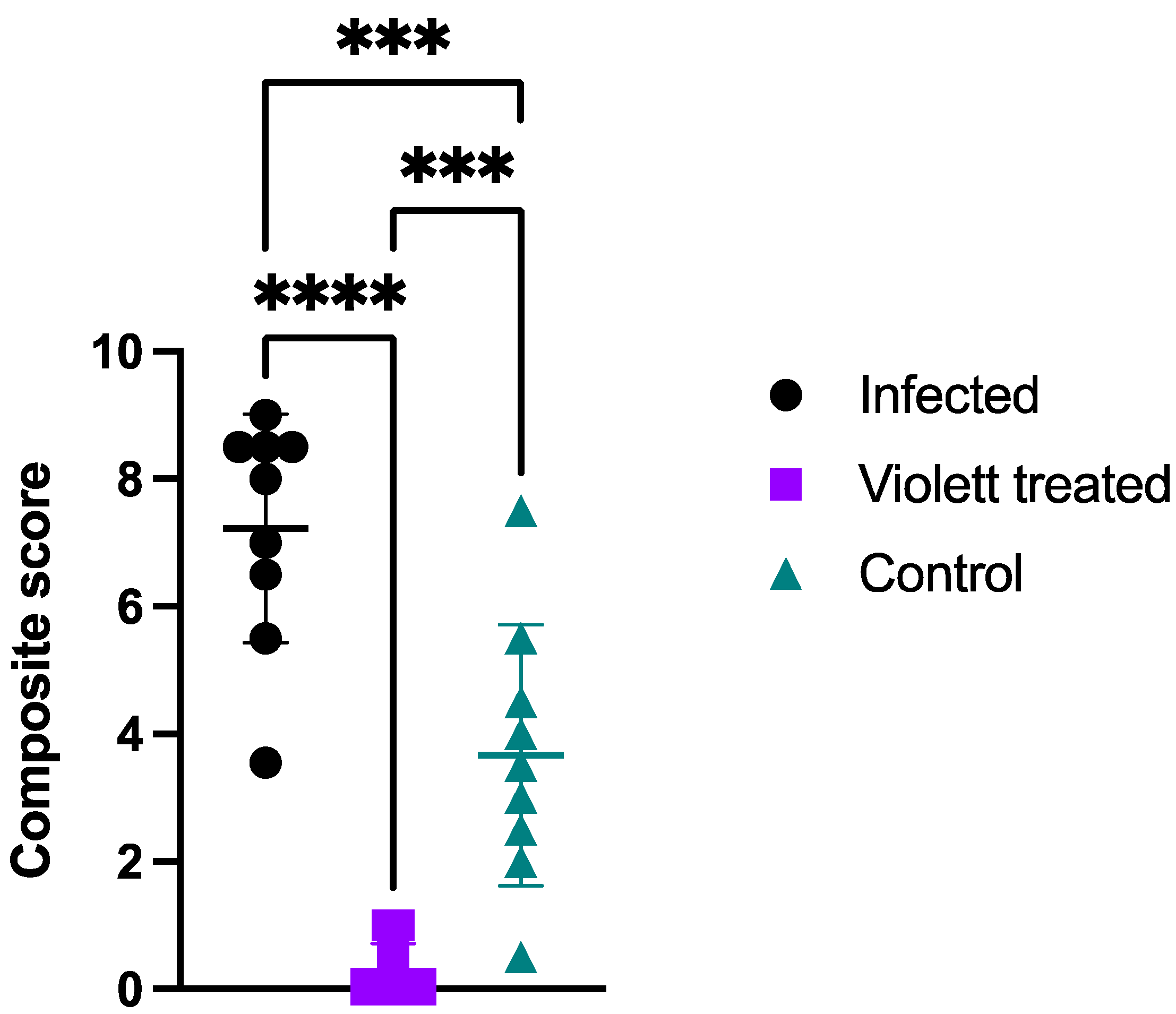 Viruses 16 00089 g007