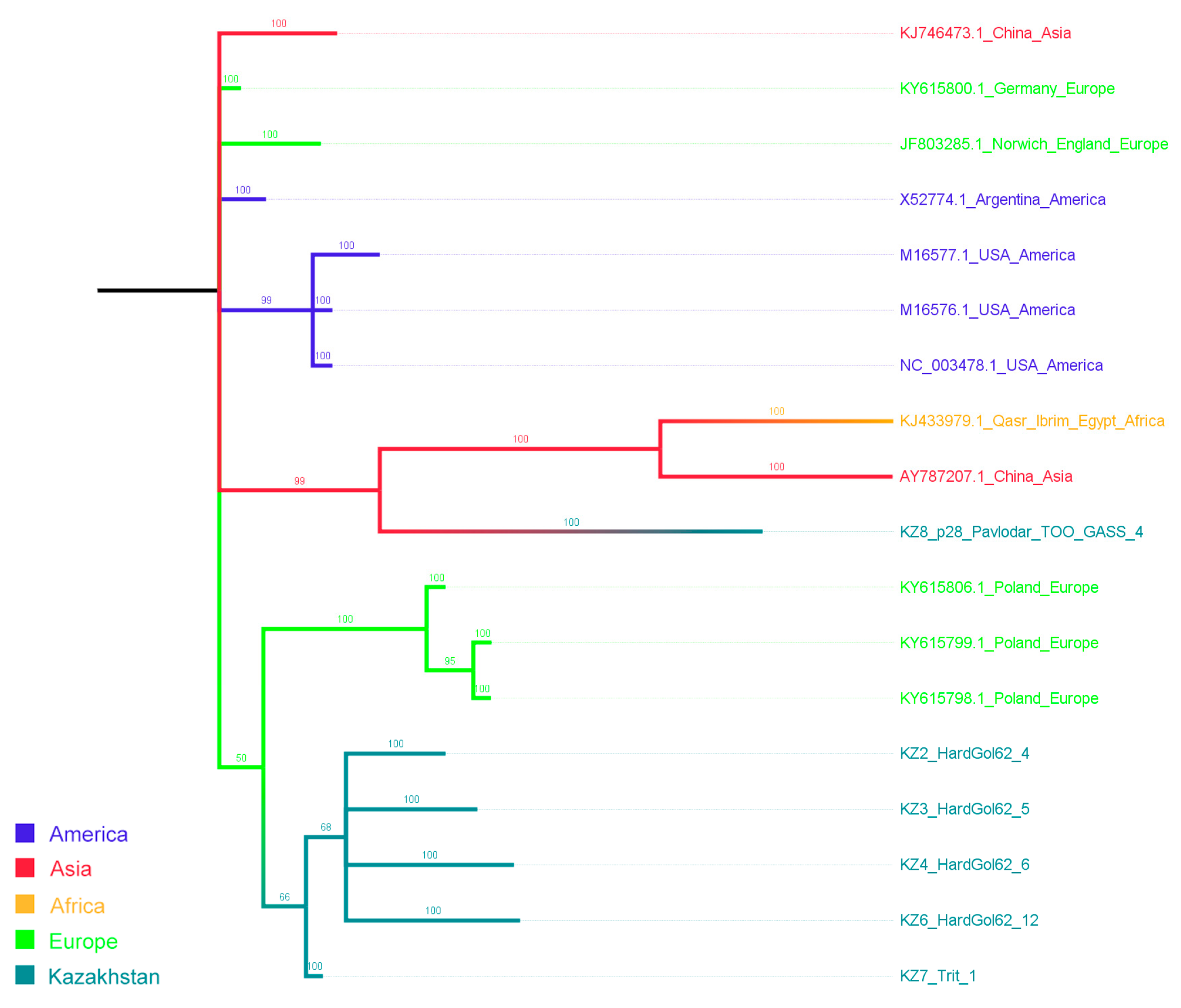 Viruses 16 00096 g005 Viruses 16 00096 g005