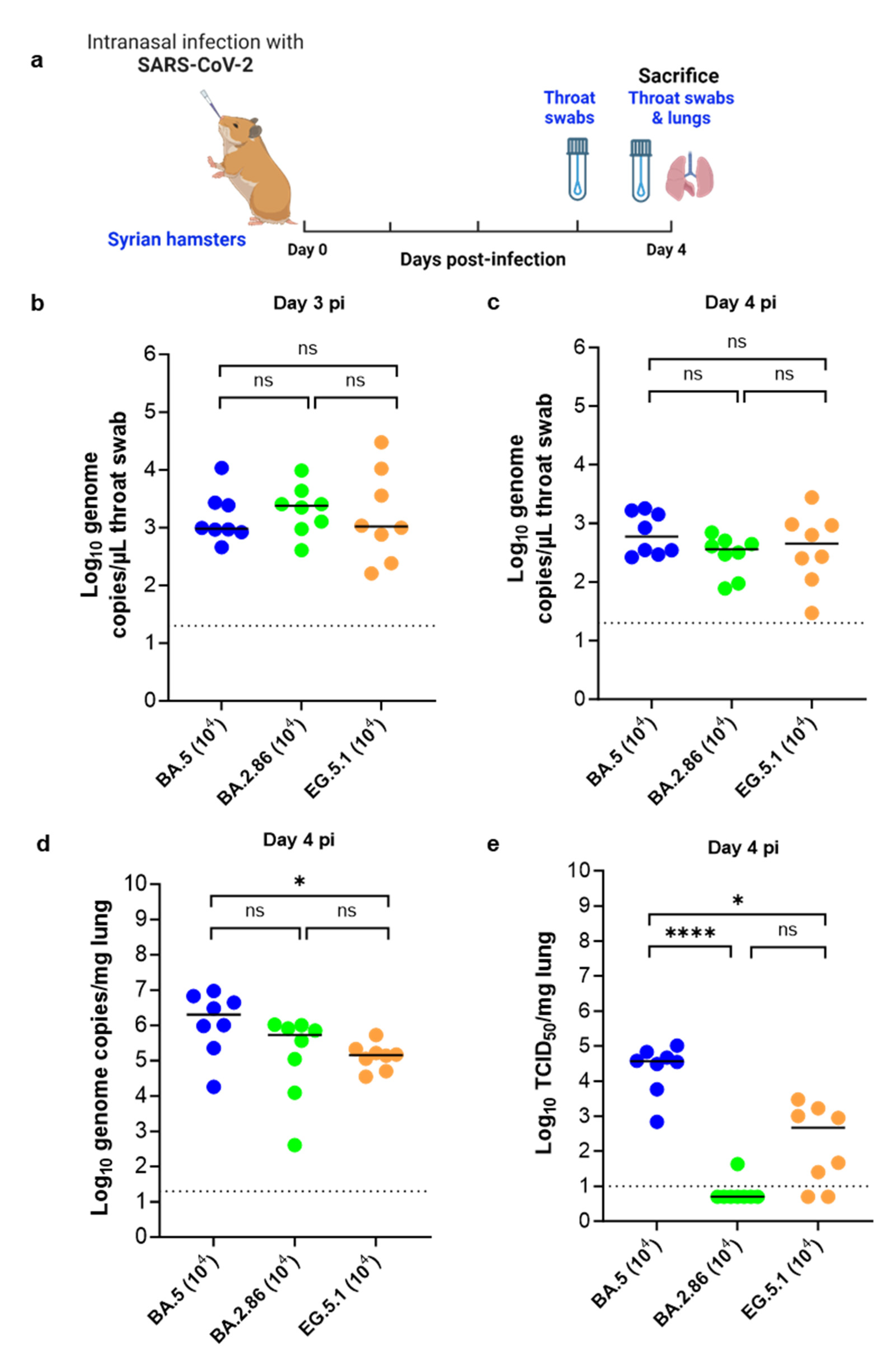 Viruses 16 00122 g001 Viruses 16 00122 g001